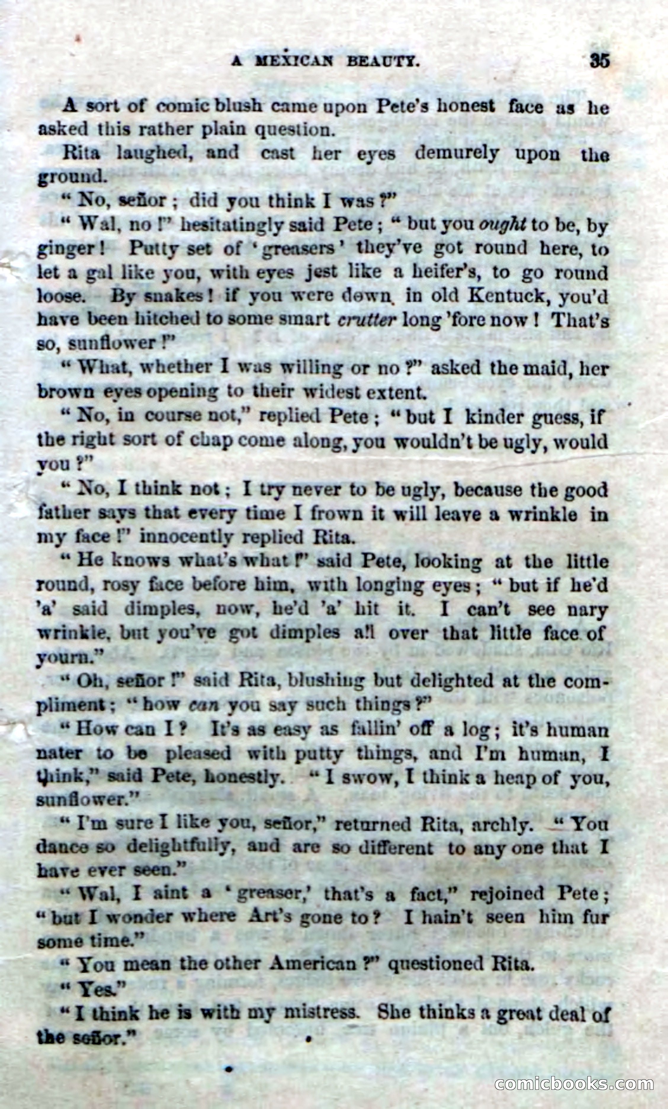 The Red Coyote; or, The Flower of the Prairie — page 33 of 100