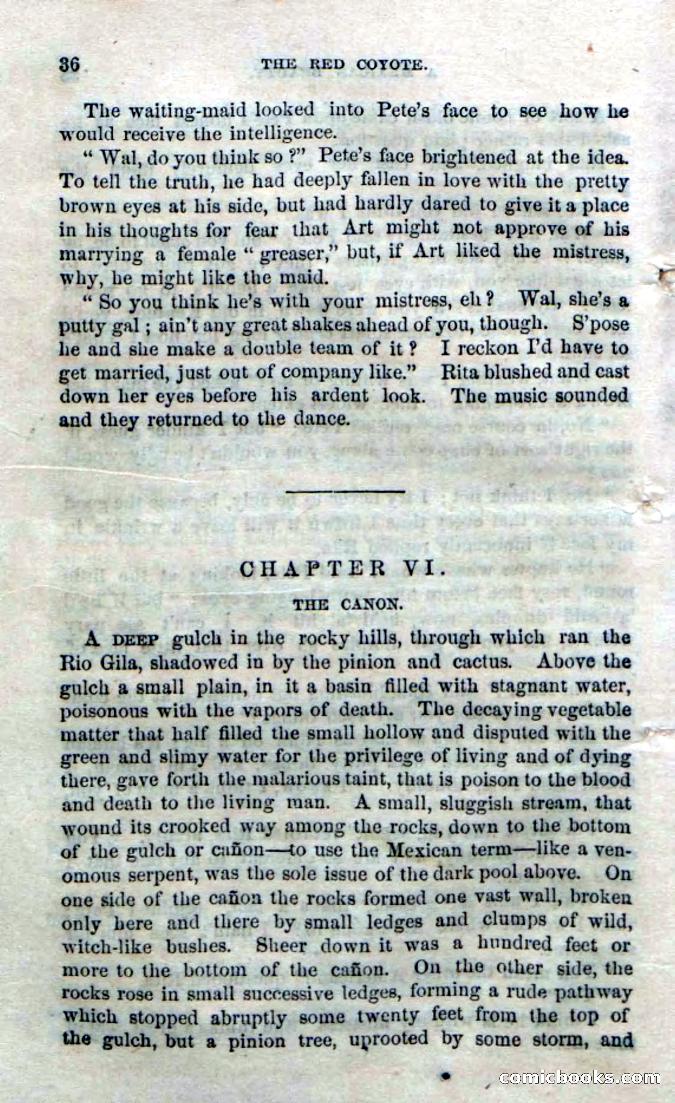 The Red Coyote; or, The Flower of the Prairie — page 34 of 100