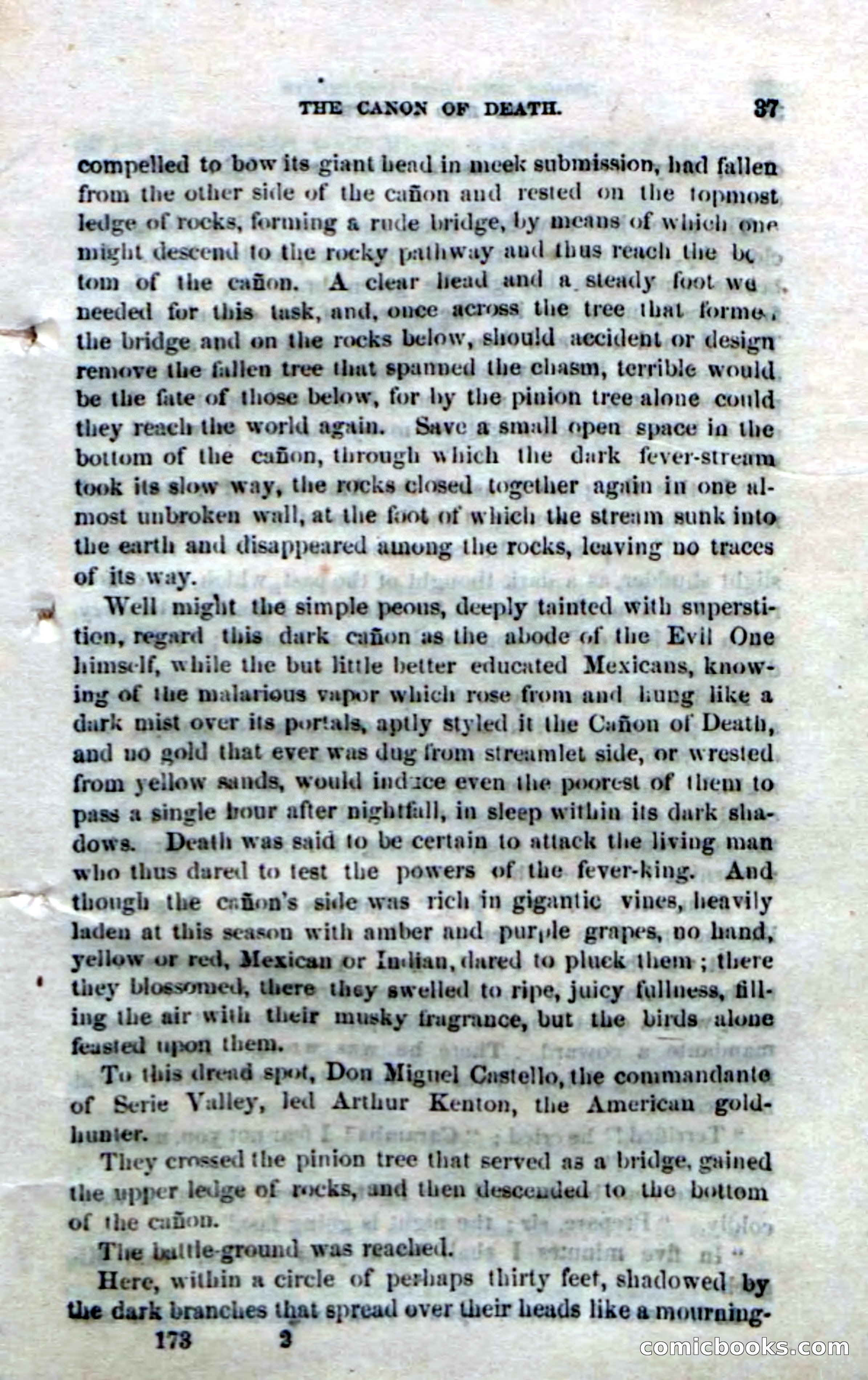 The Red Coyote; or, The Flower of the Prairie — page 35 of 100
