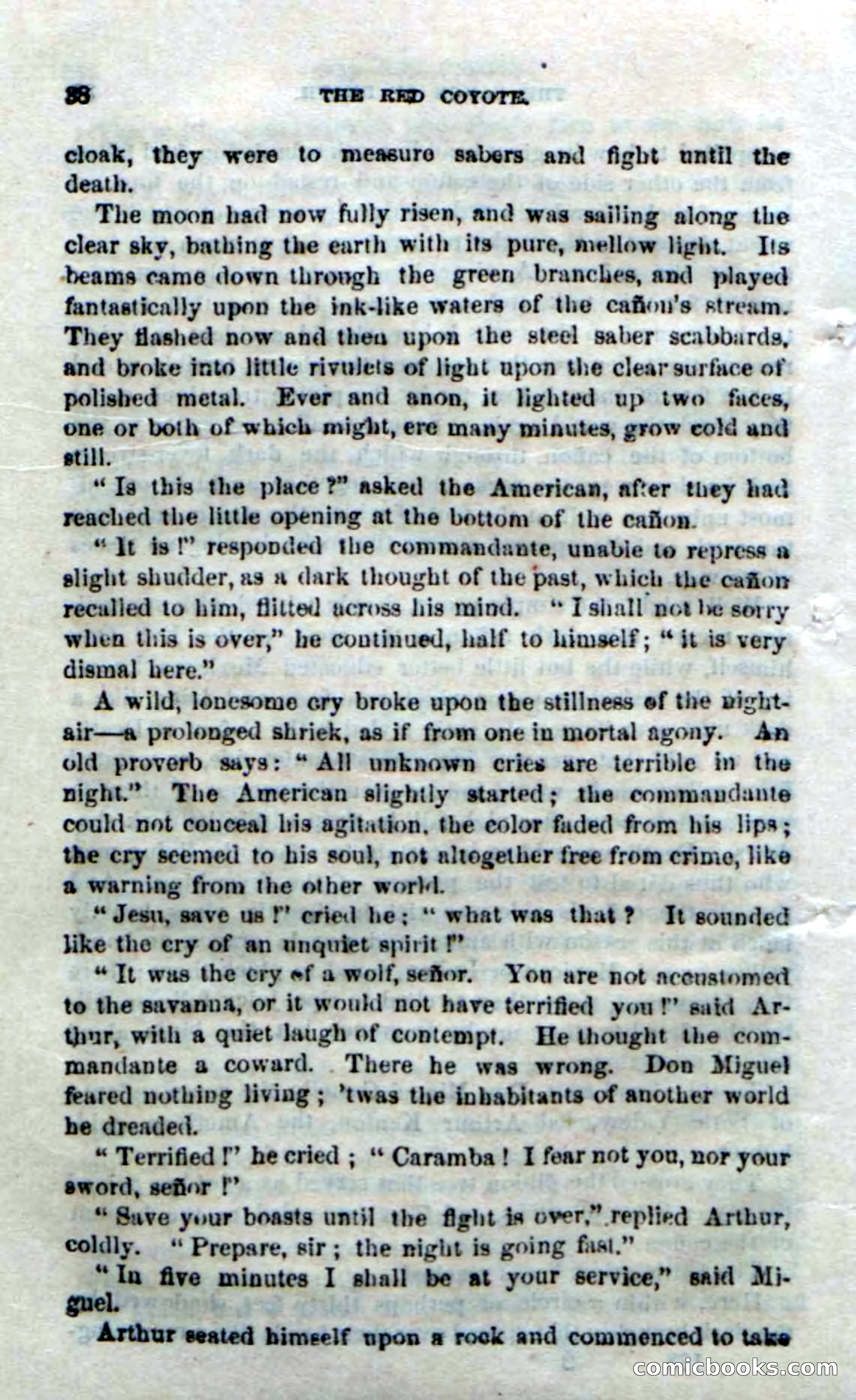 The Red Coyote; or, The Flower of the Prairie — page 36 of 100