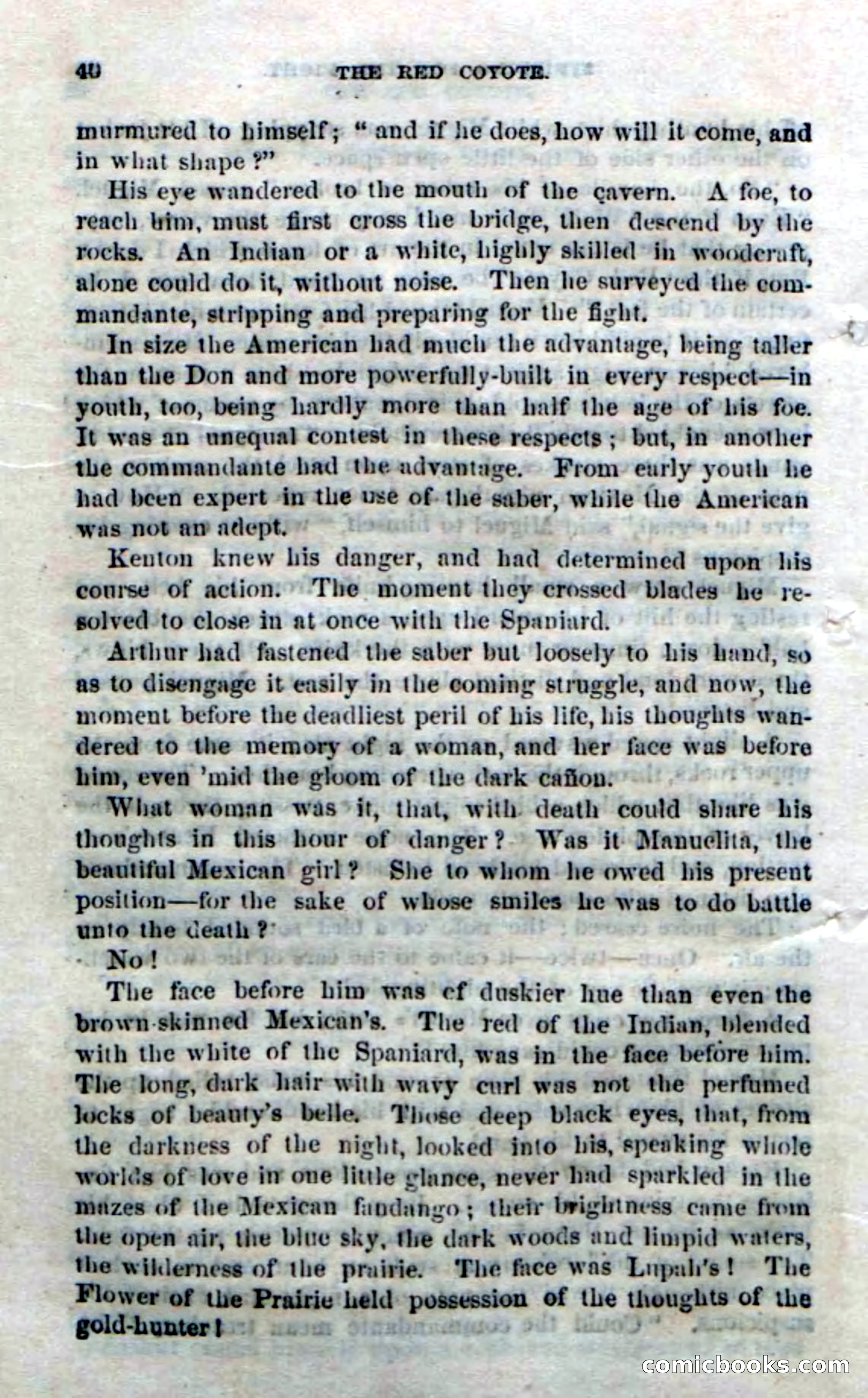 The Red Coyote; or, The Flower of the Prairie — page 38 of 100