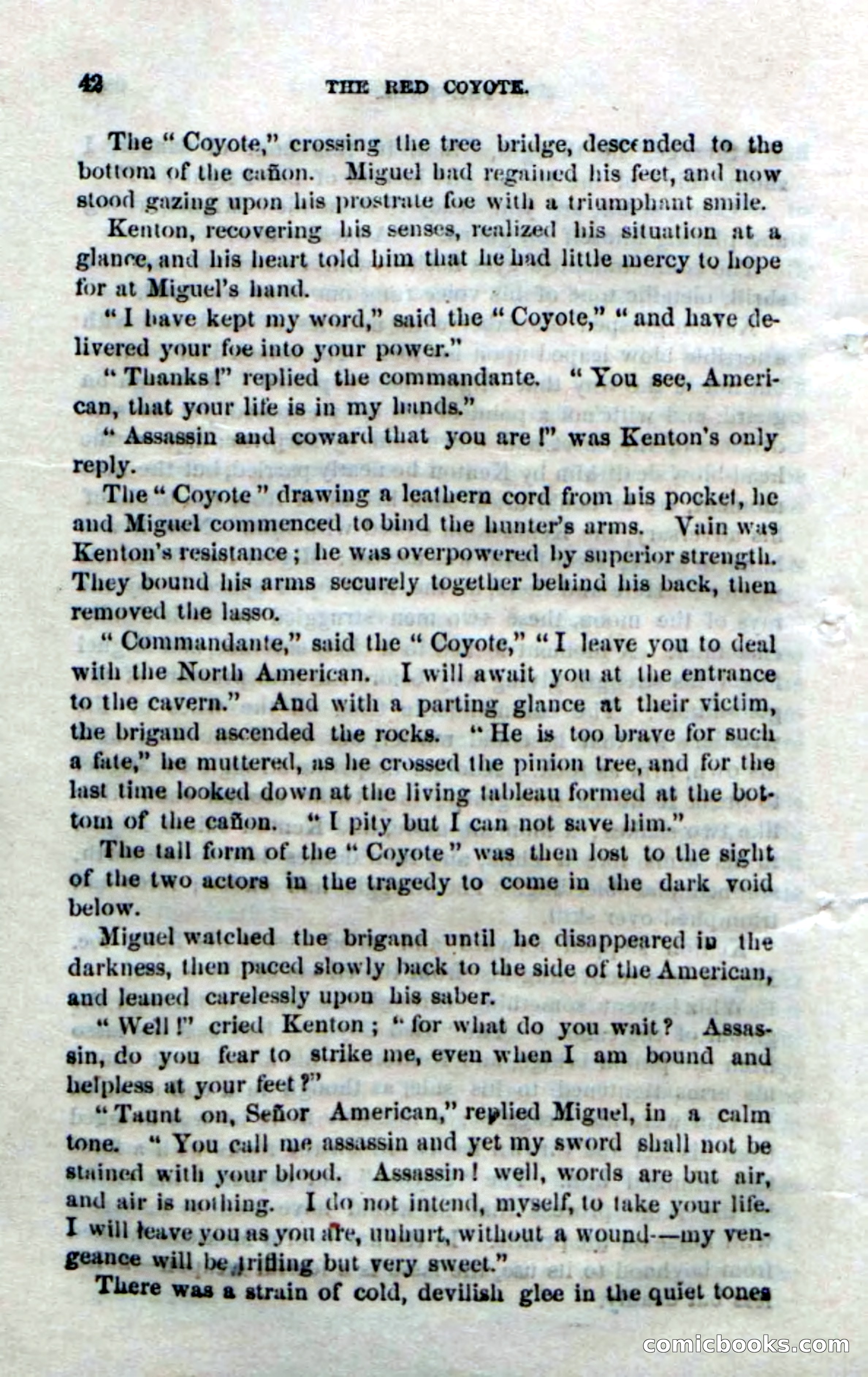 The Red Coyote; or, The Flower of the Prairie — page 40 of 100