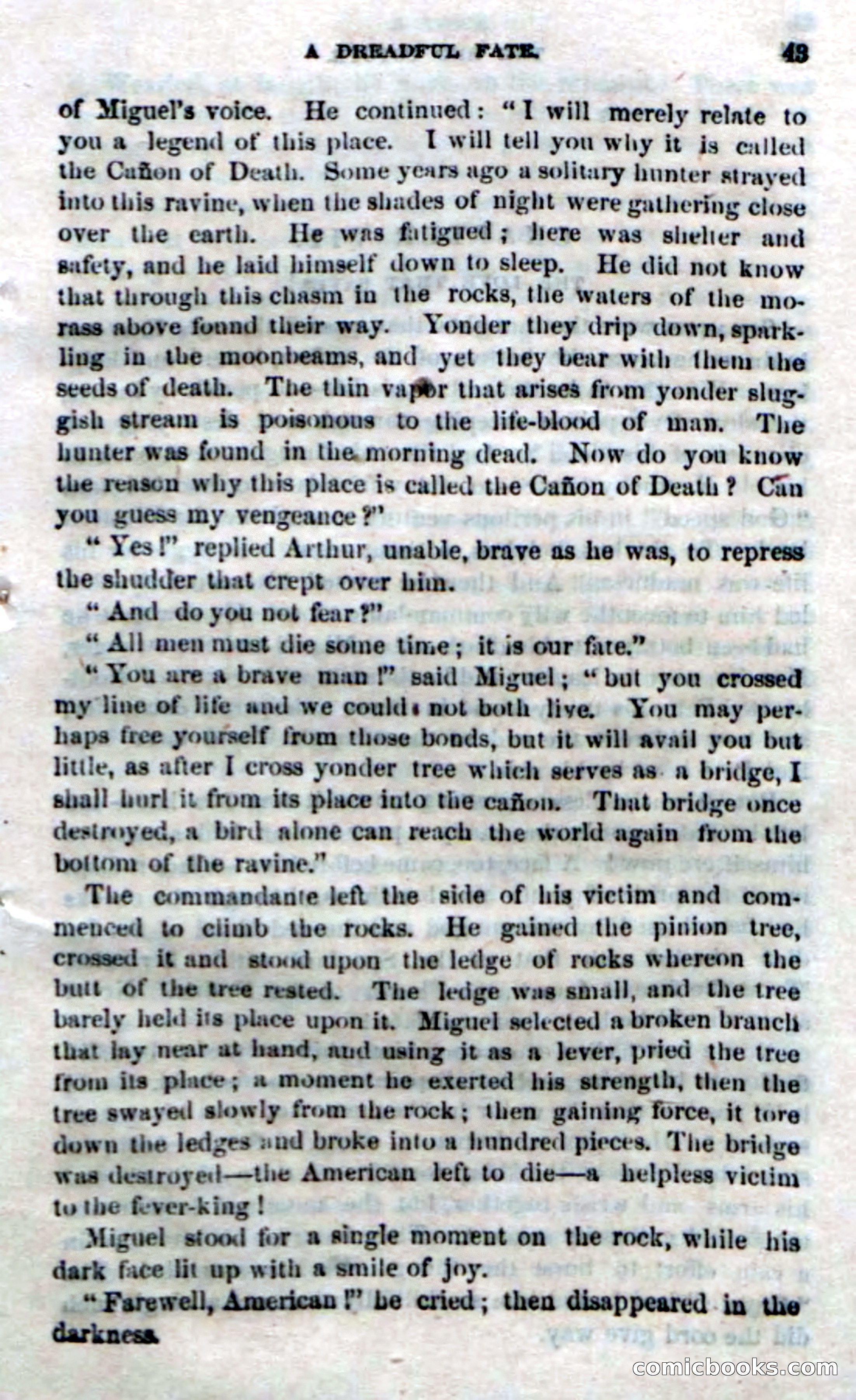 The Red Coyote; or, The Flower of the Prairie — page 41 of 100