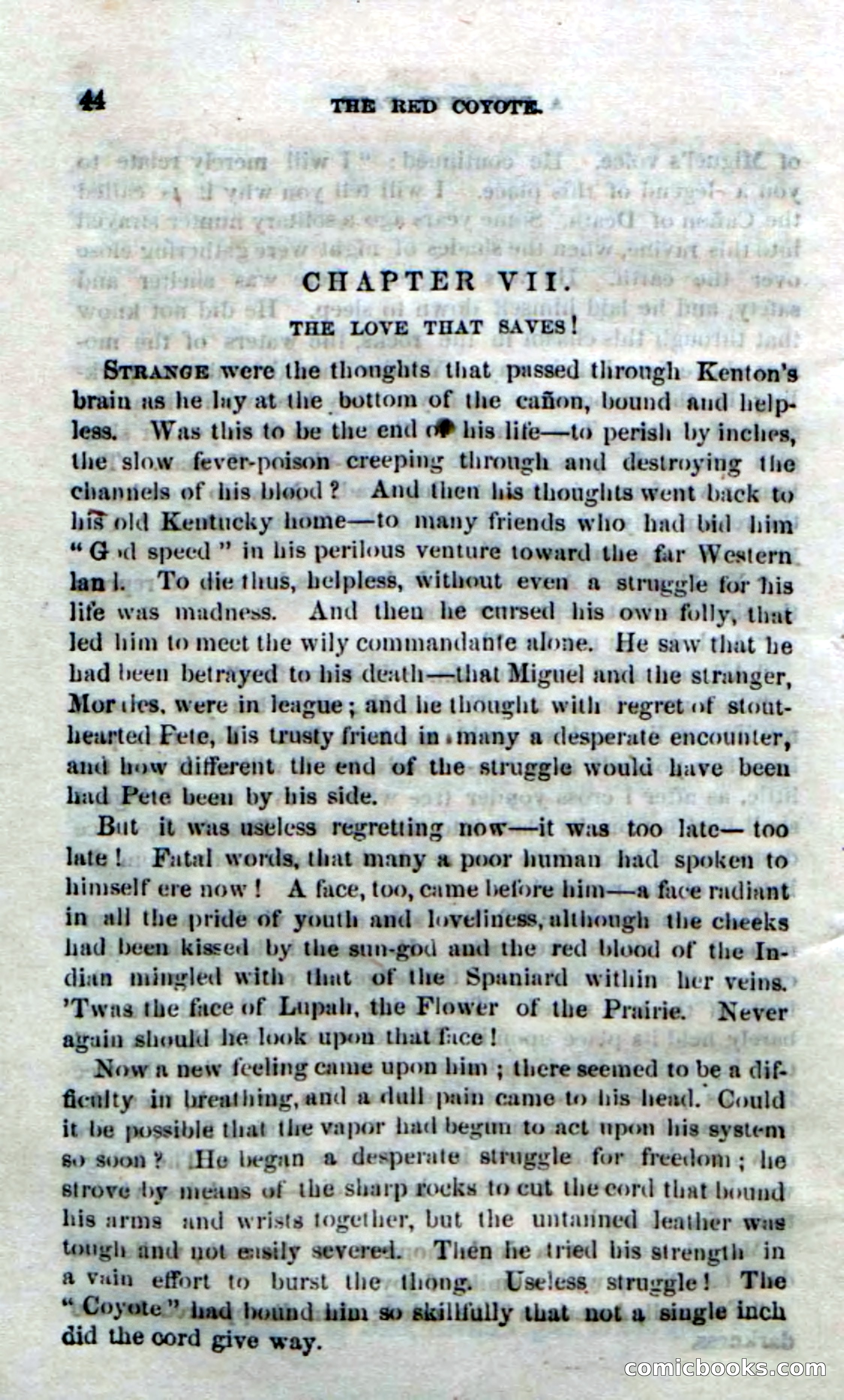 The Red Coyote; or, The Flower of the Prairie — page 42 of 100