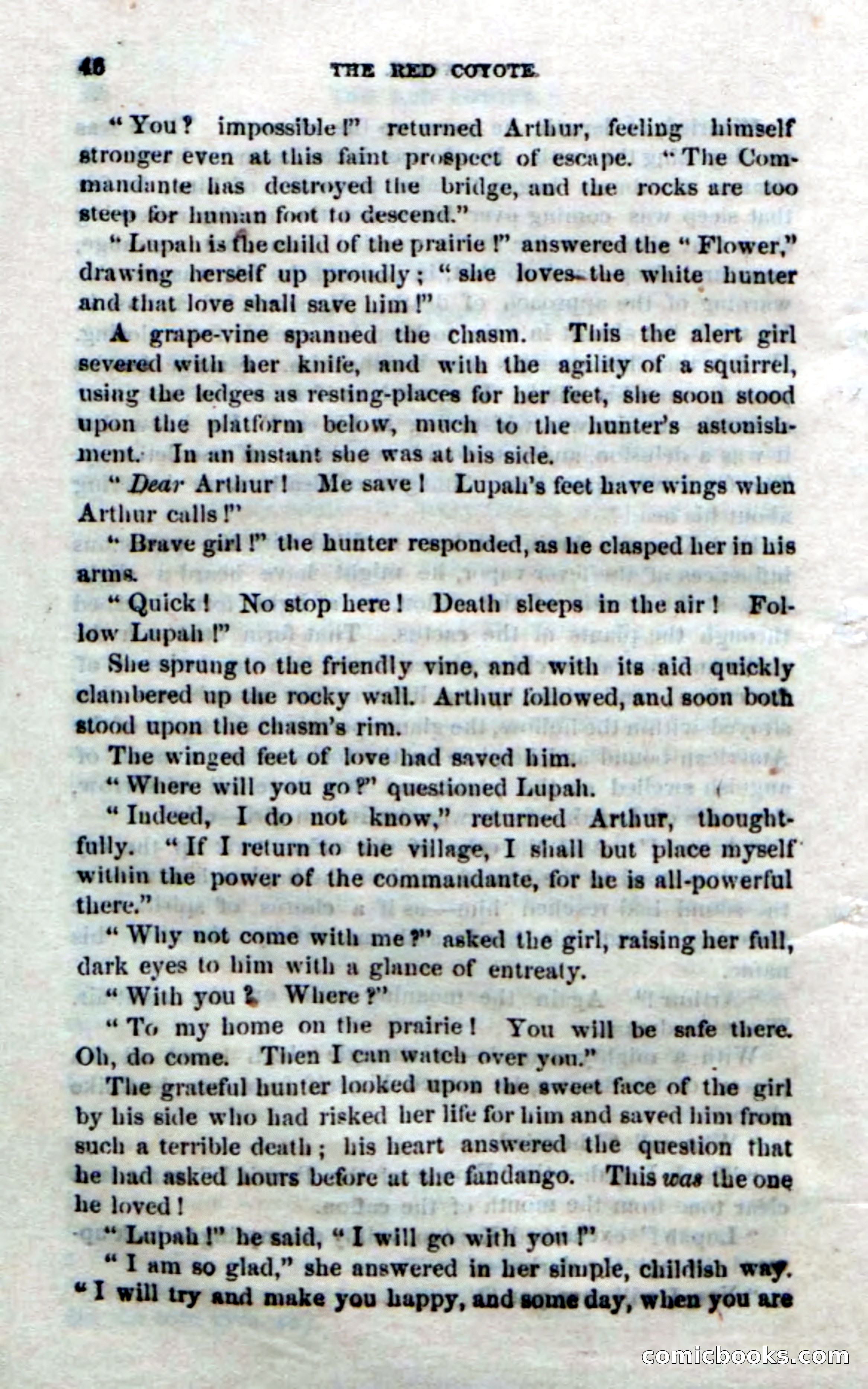 The Red Coyote; or, The Flower of the Prairie — page 44 of 100