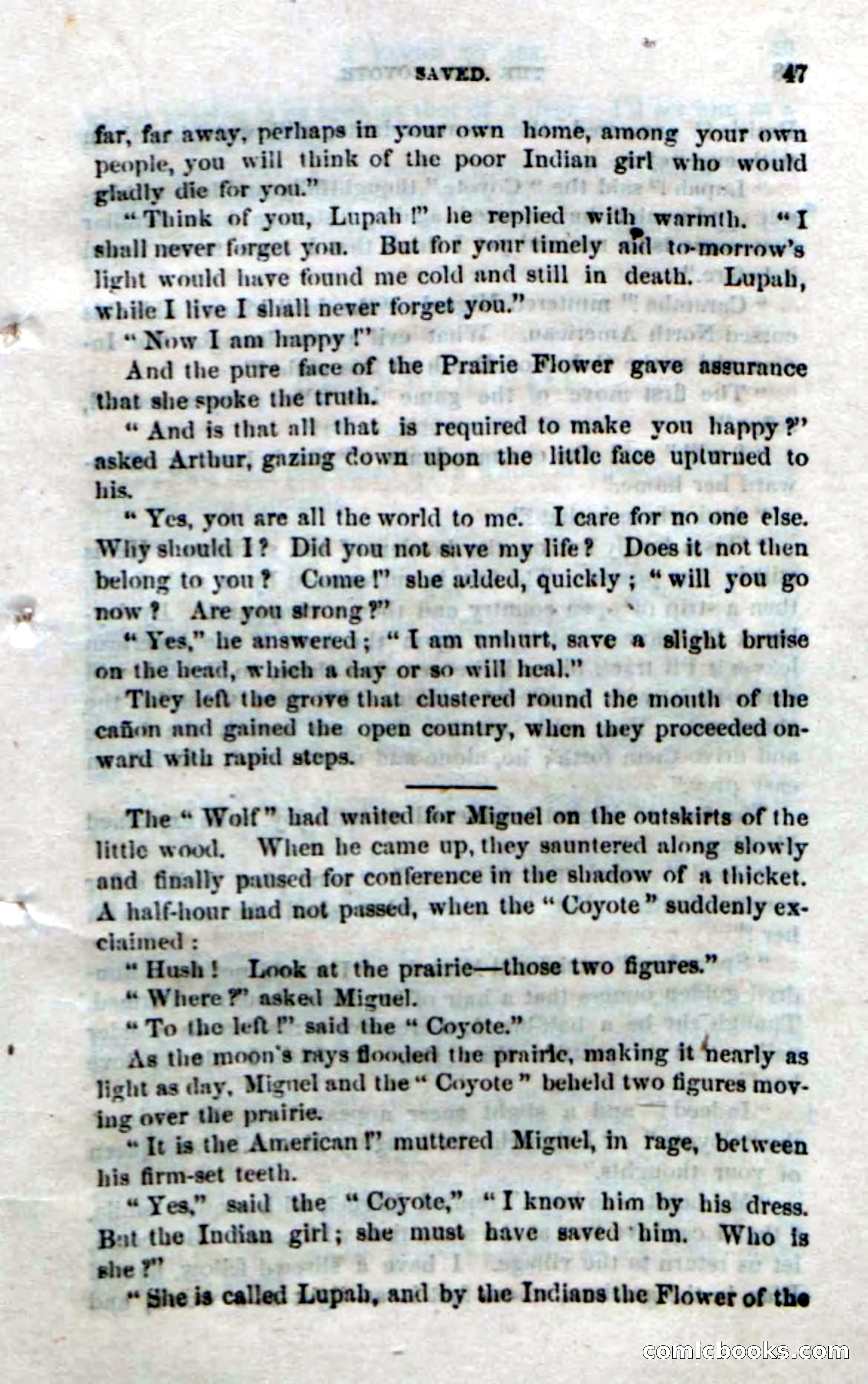 The Red Coyote; or, The Flower of the Prairie — page 45 of 100