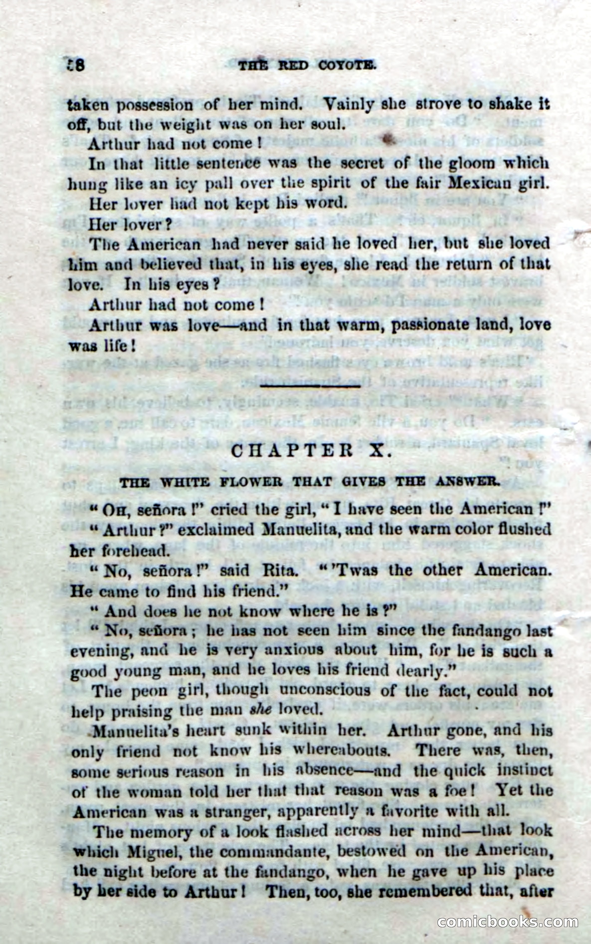 The Red Coyote; or, The Flower of the Prairie — page 56 of 100