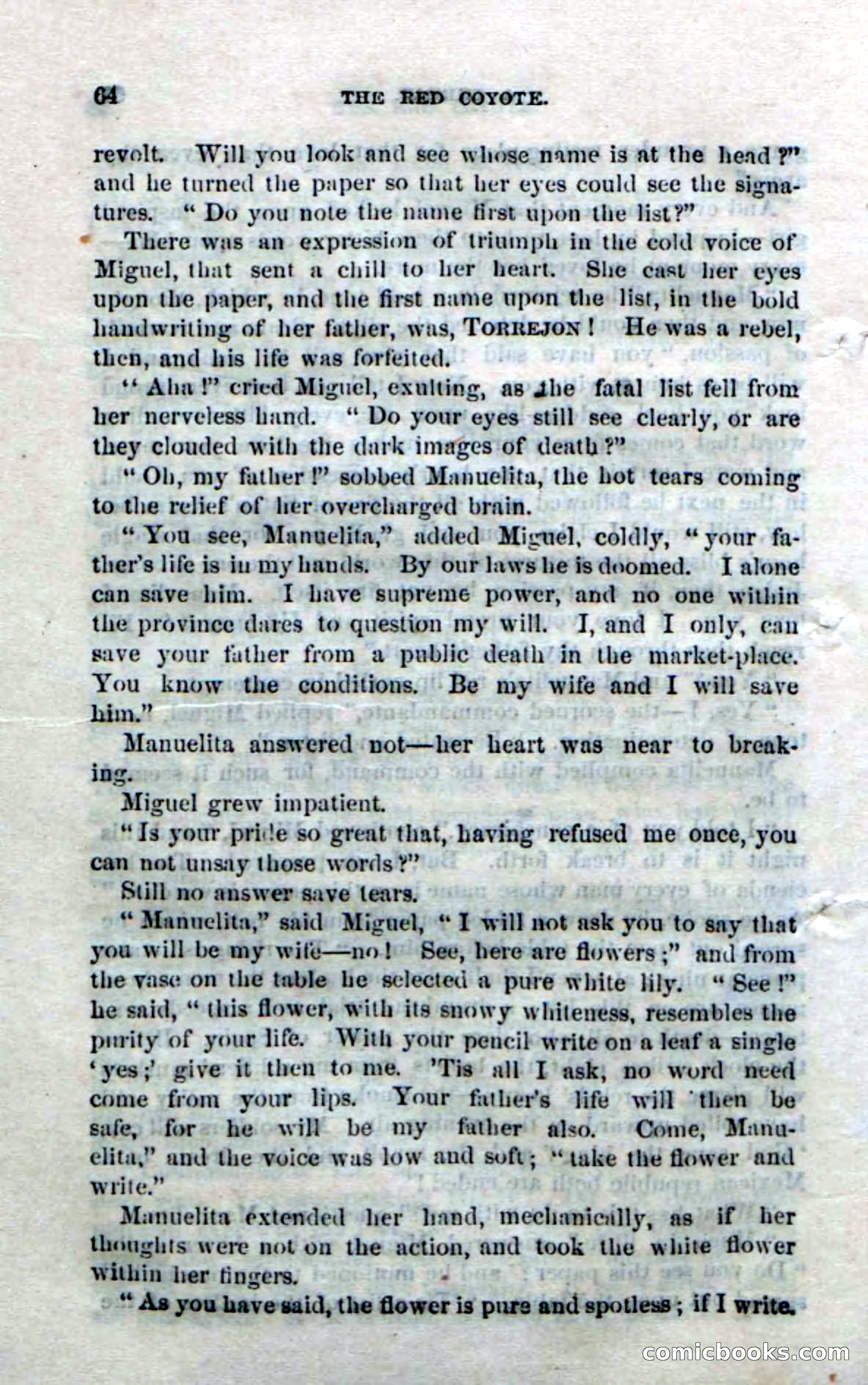 The Red Coyote; or, The Flower of the Prairie — page 62 of 100