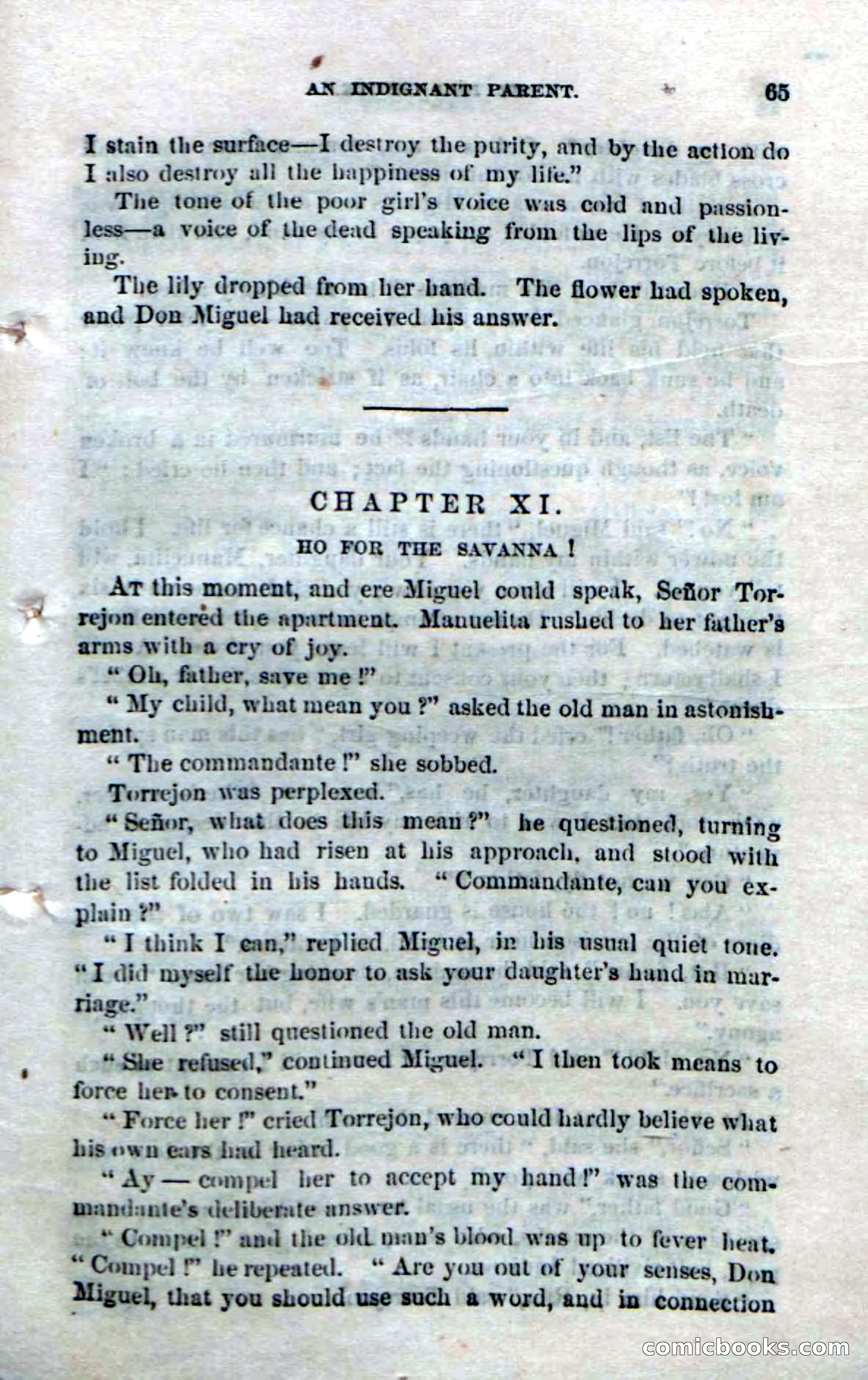 The Red Coyote; or, The Flower of the Prairie — page 63 of 100