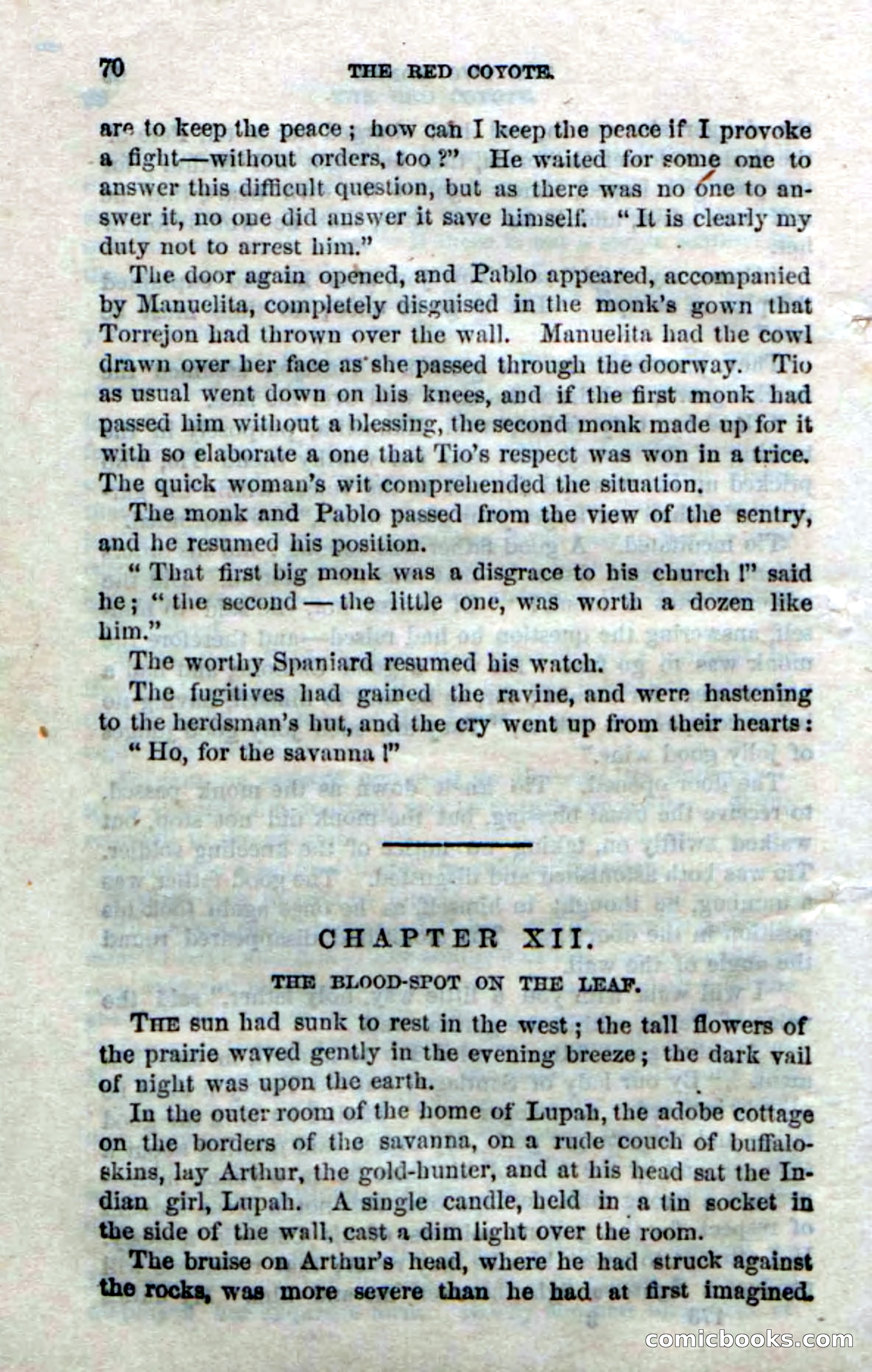 The Red Coyote; or, The Flower of the Prairie — page 68 of 100