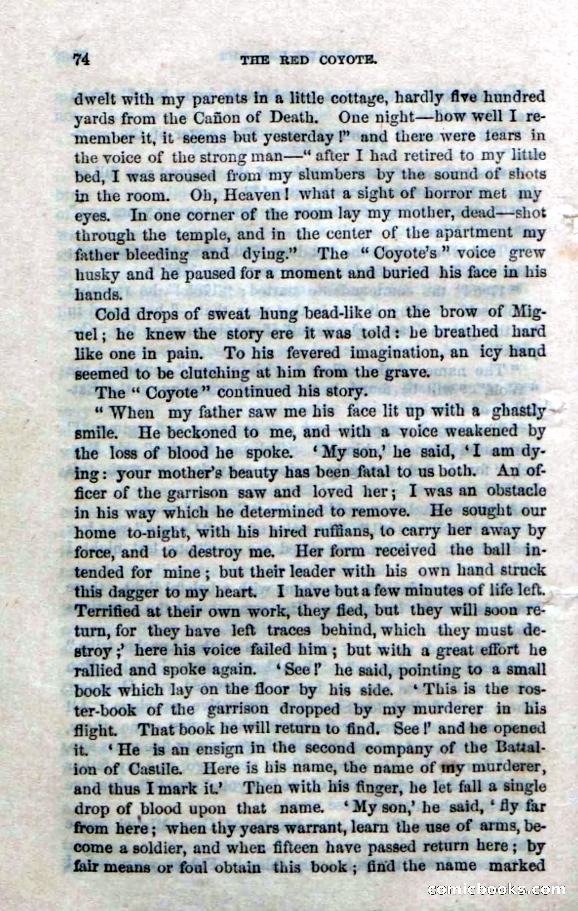 The Red Coyote; or, The Flower of the Prairie — page 72 of 100
