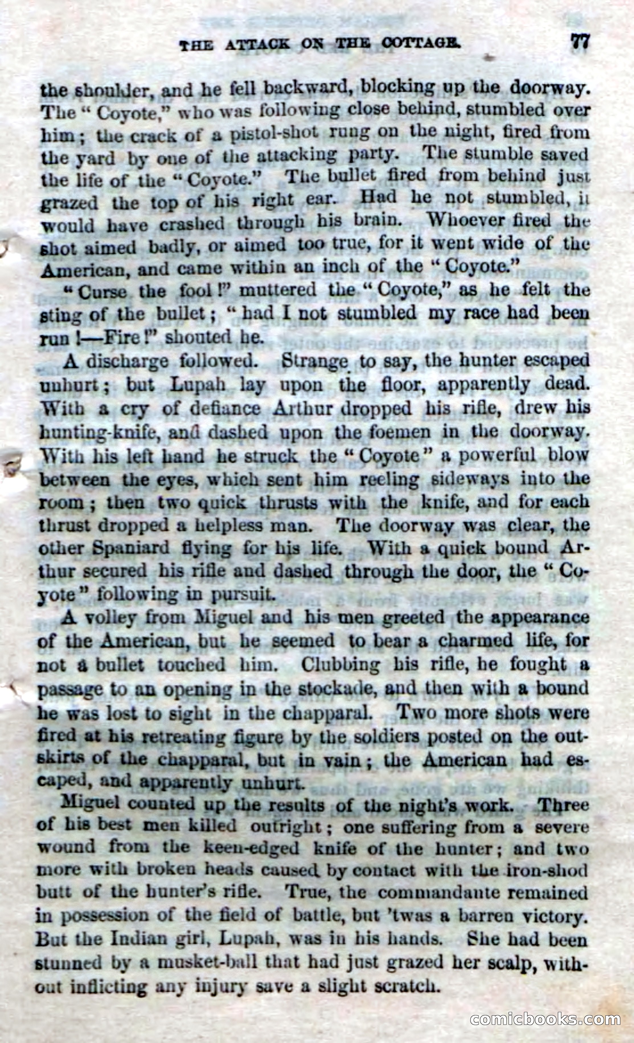 The Red Coyote; or, The Flower of the Prairie — page 75 of 100