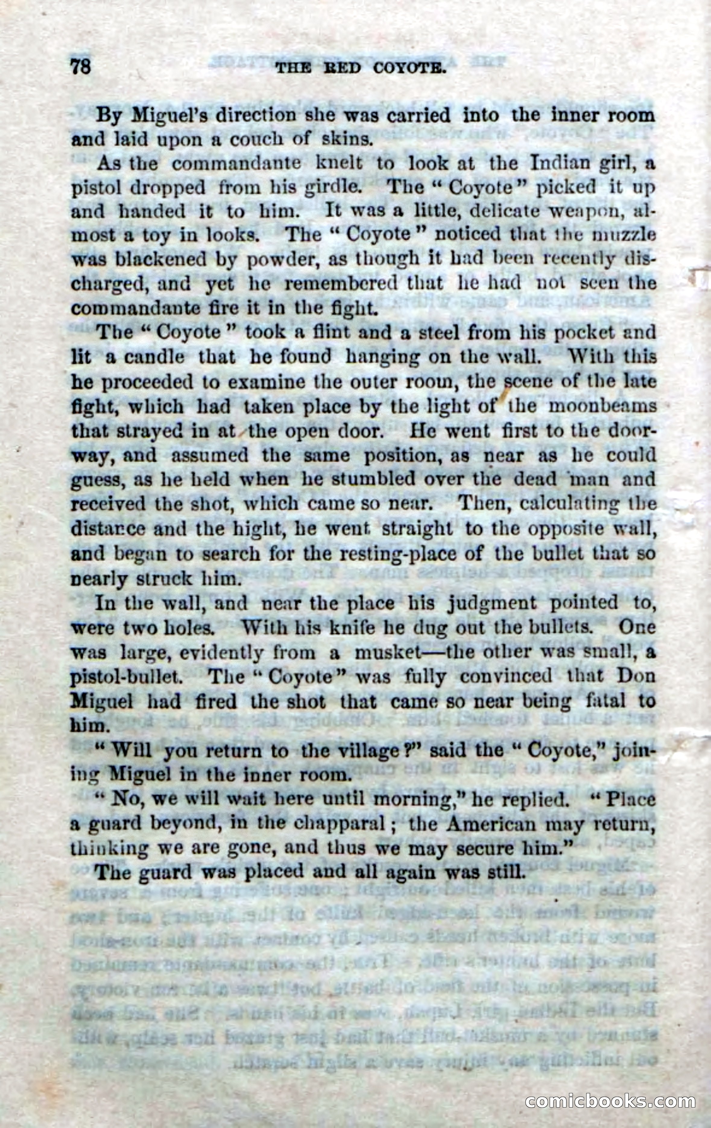 The Red Coyote; or, The Flower of the Prairie — page 76 of 100