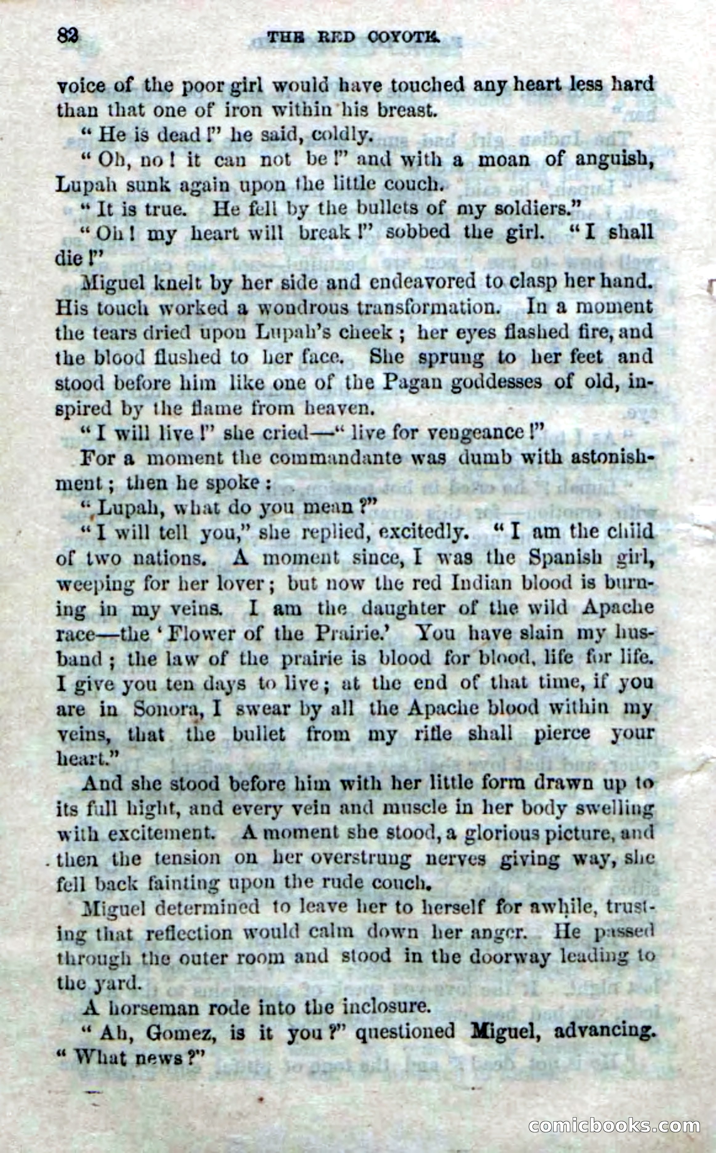 The Red Coyote; or, The Flower of the Prairie — page 80 of 100