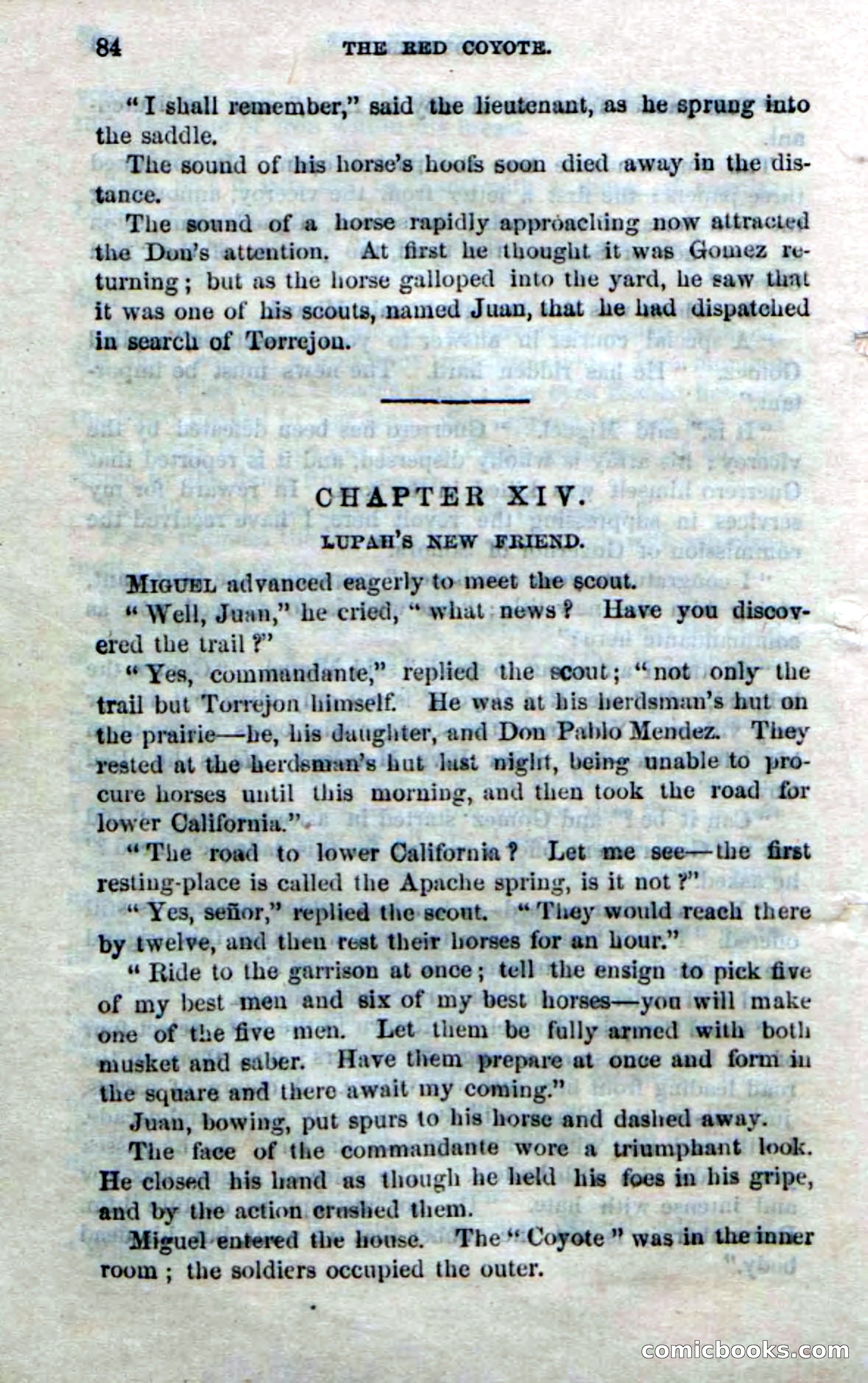 The Red Coyote; or, The Flower of the Prairie — page 82 of 100