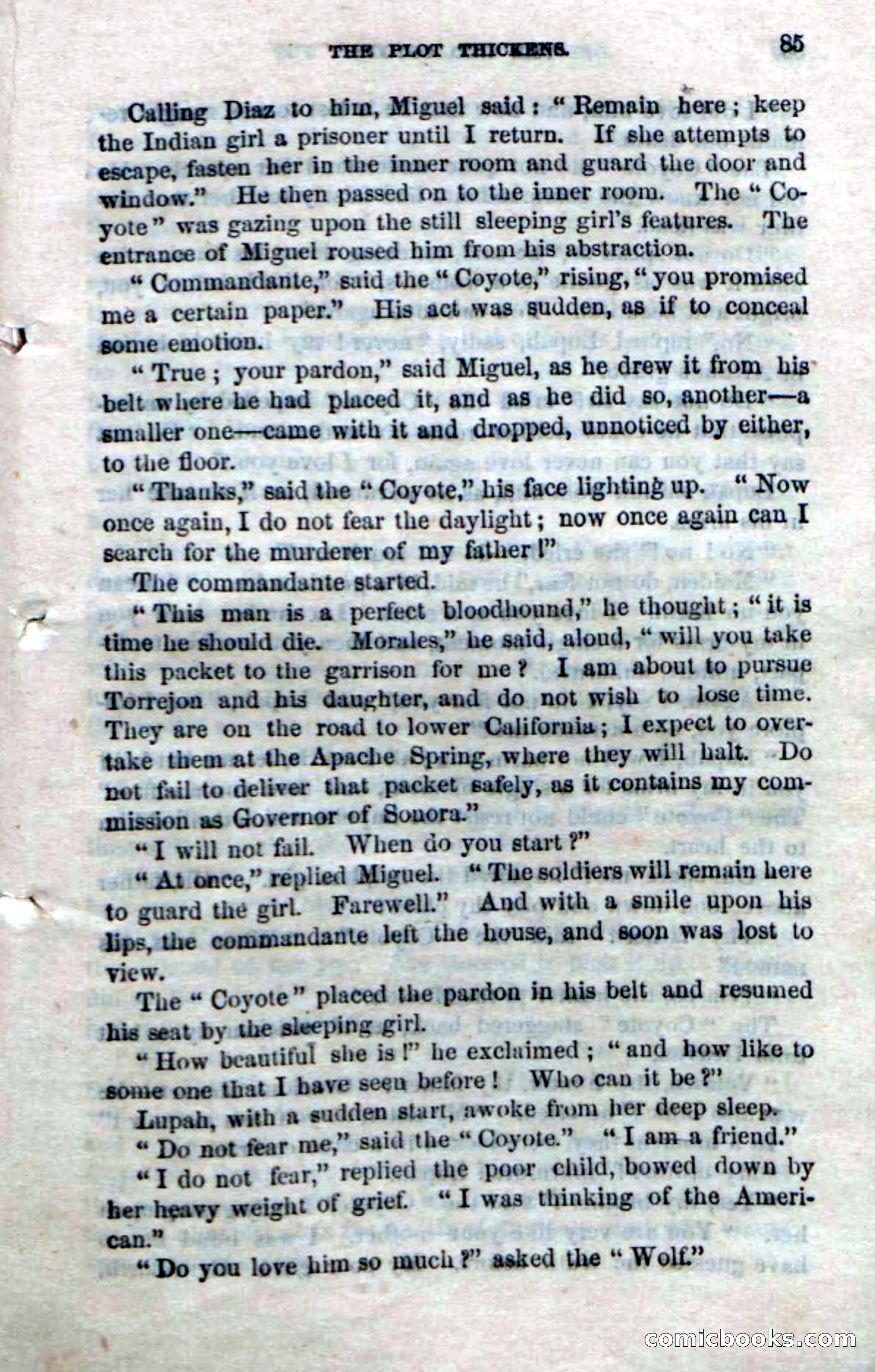 The Red Coyote; or, The Flower of the Prairie — page 83 of 100