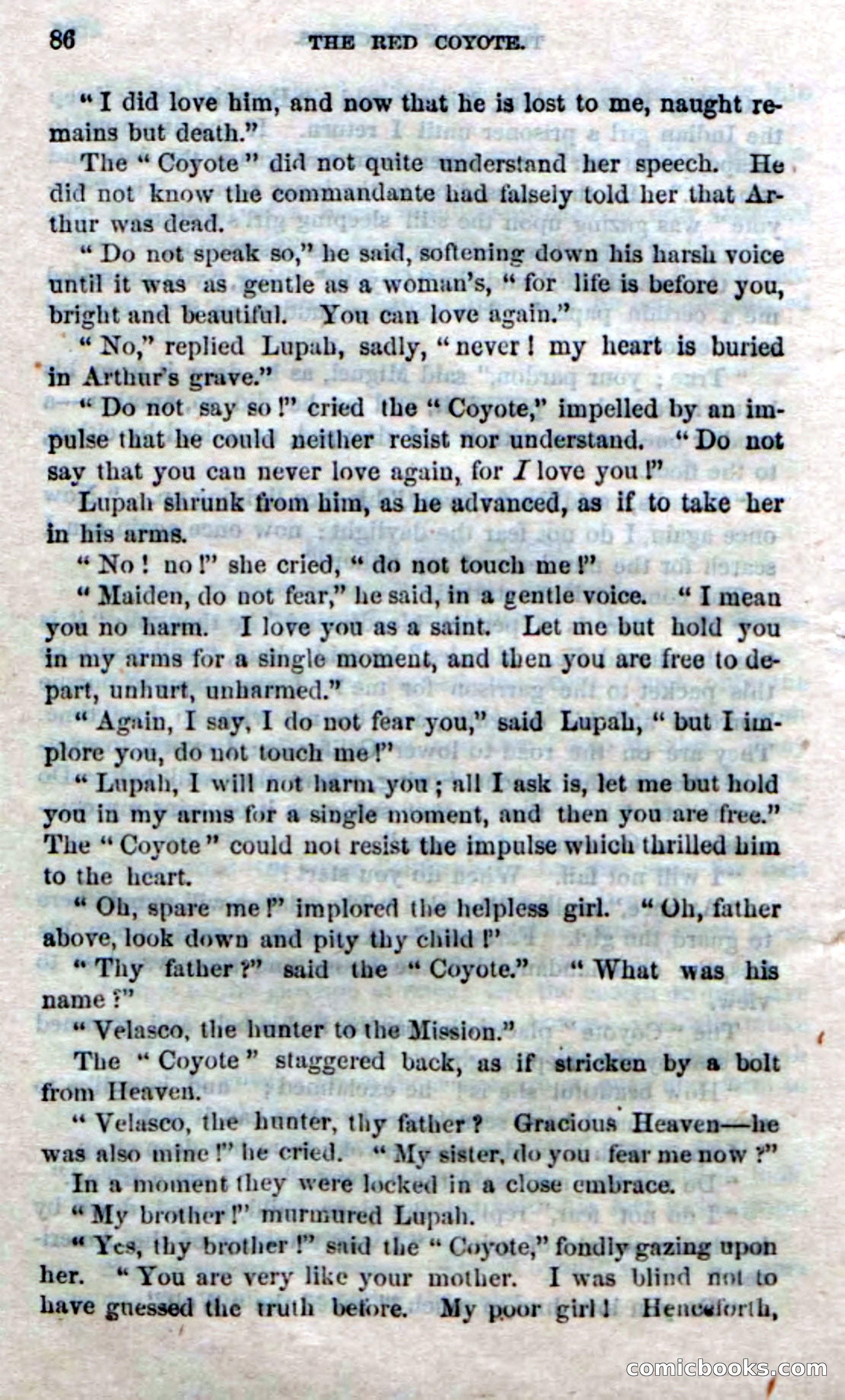 The Red Coyote; or, The Flower of the Prairie — page 84 of 100
