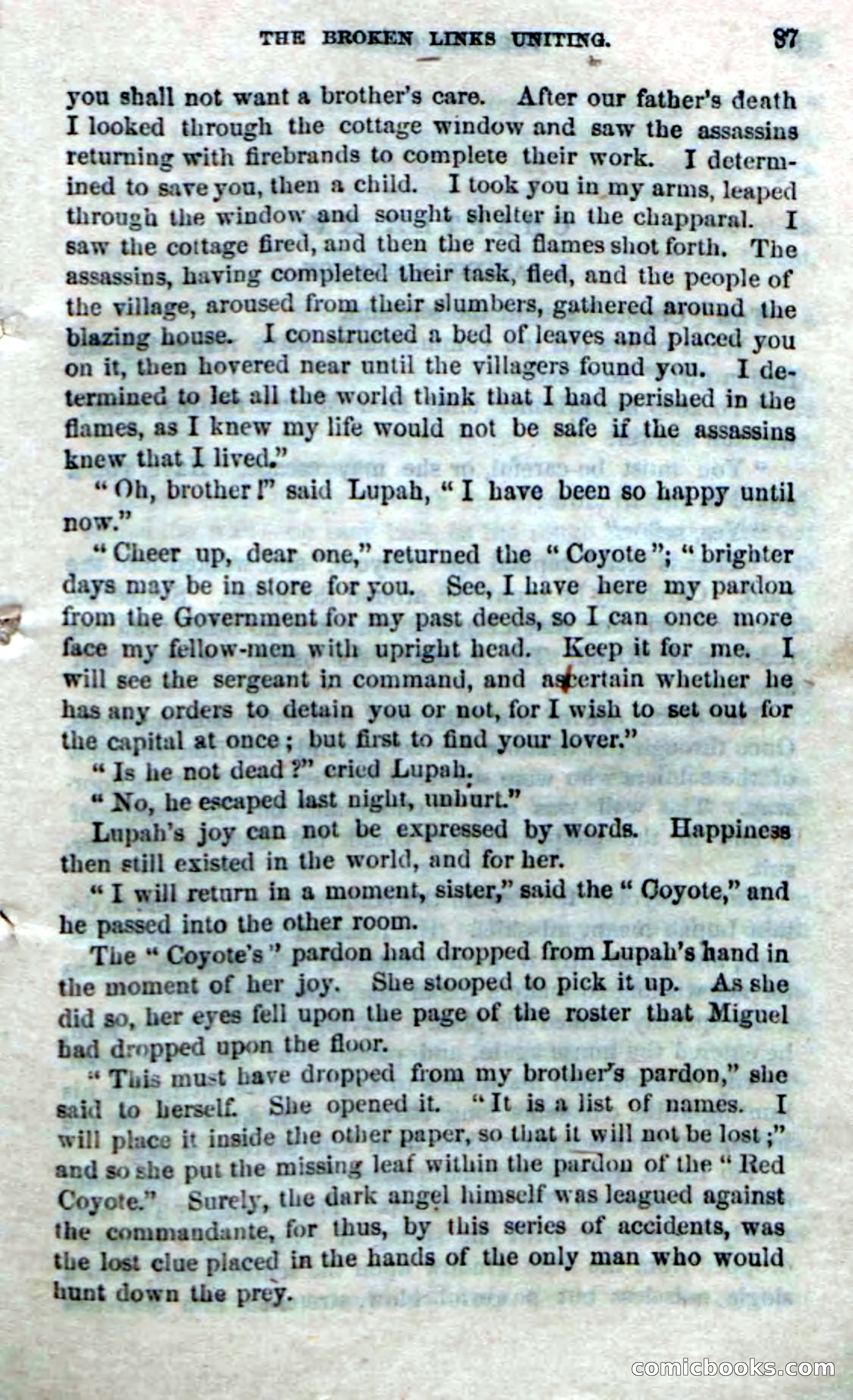 The Red Coyote; or, The Flower of the Prairie — page 85 of 100
