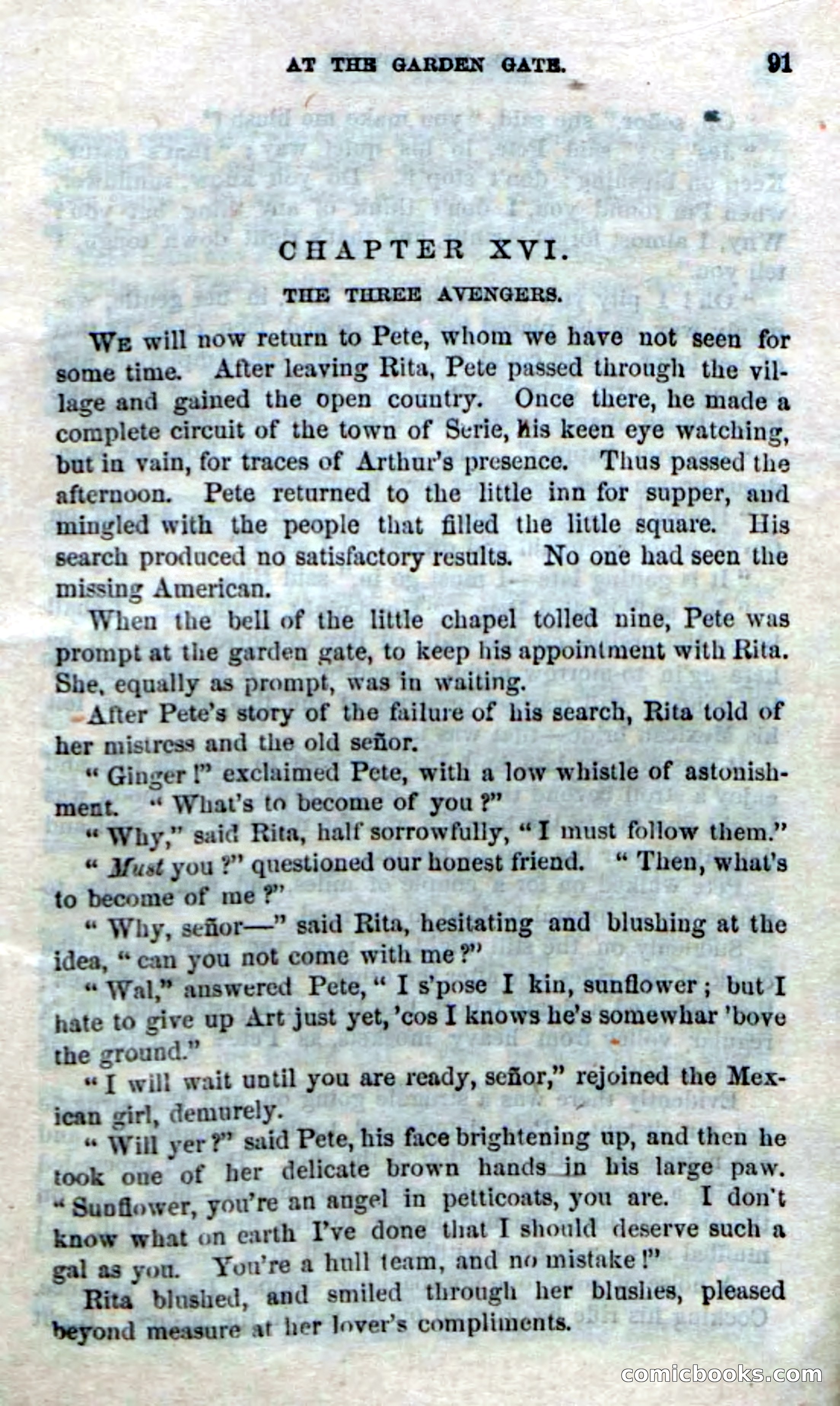 The Red Coyote; or, The Flower of the Prairie — page 89 of 100