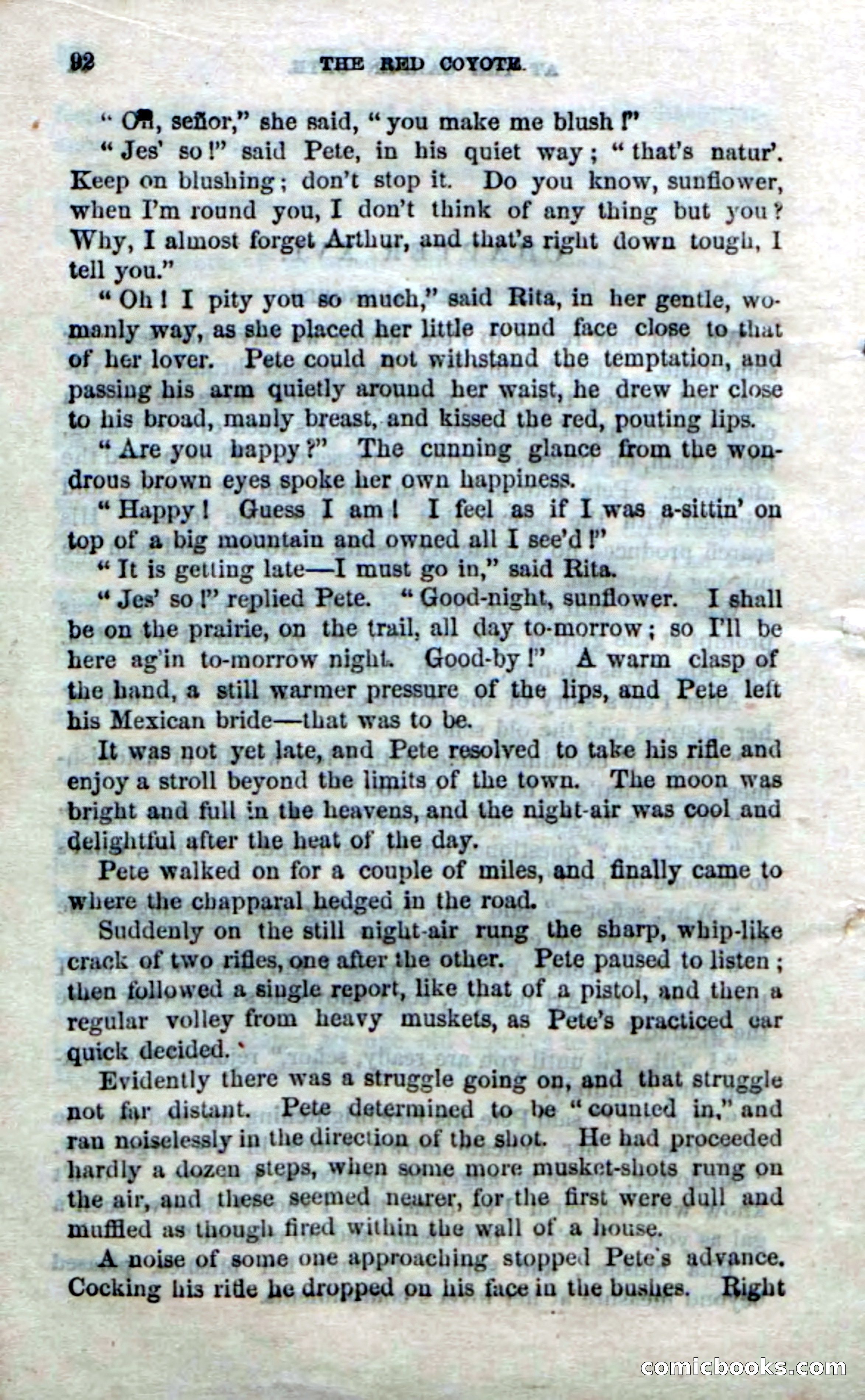 The Red Coyote; or, The Flower of the Prairie — page 90 of 100