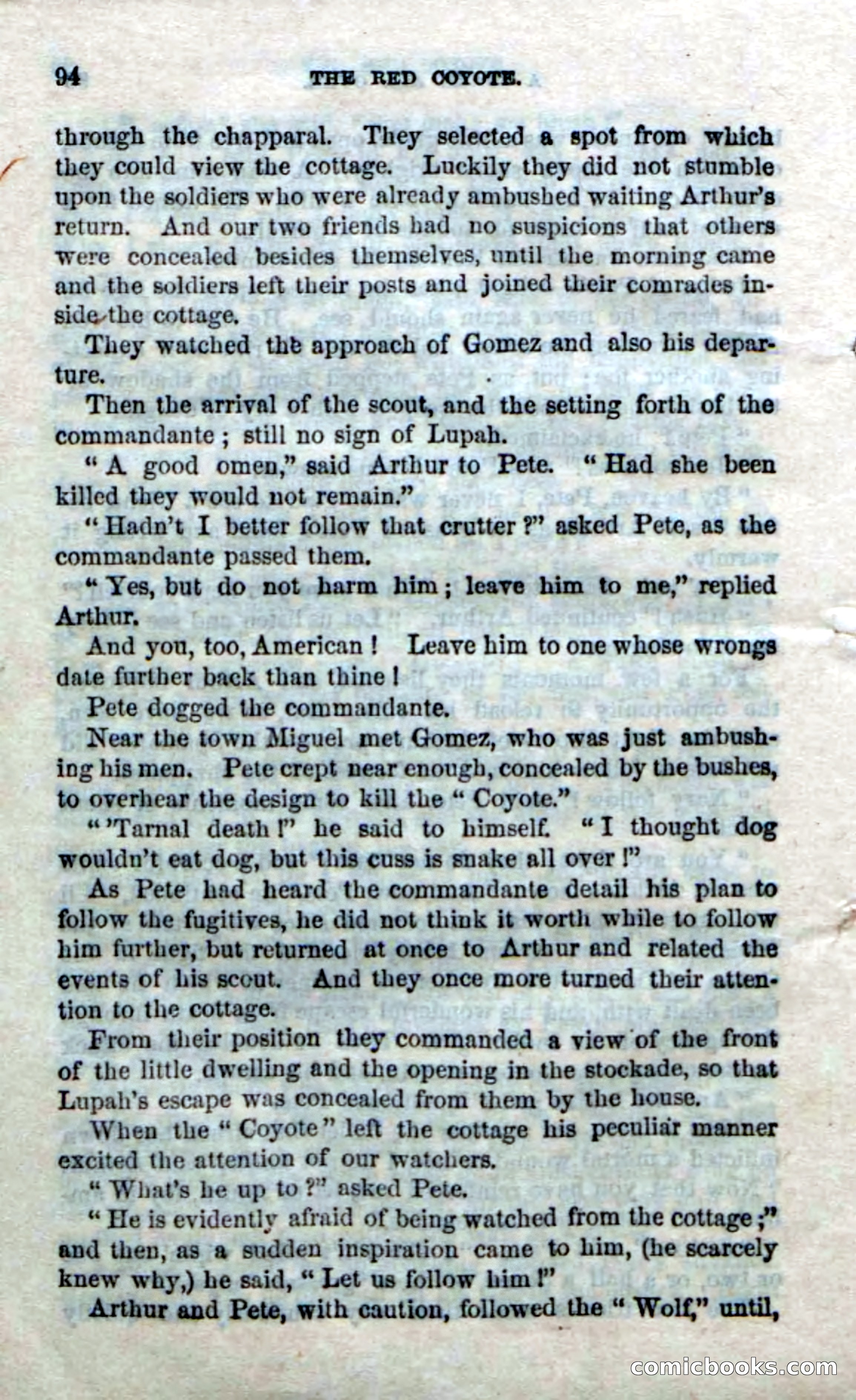 The Red Coyote; or, The Flower of the Prairie — page 92 of 100