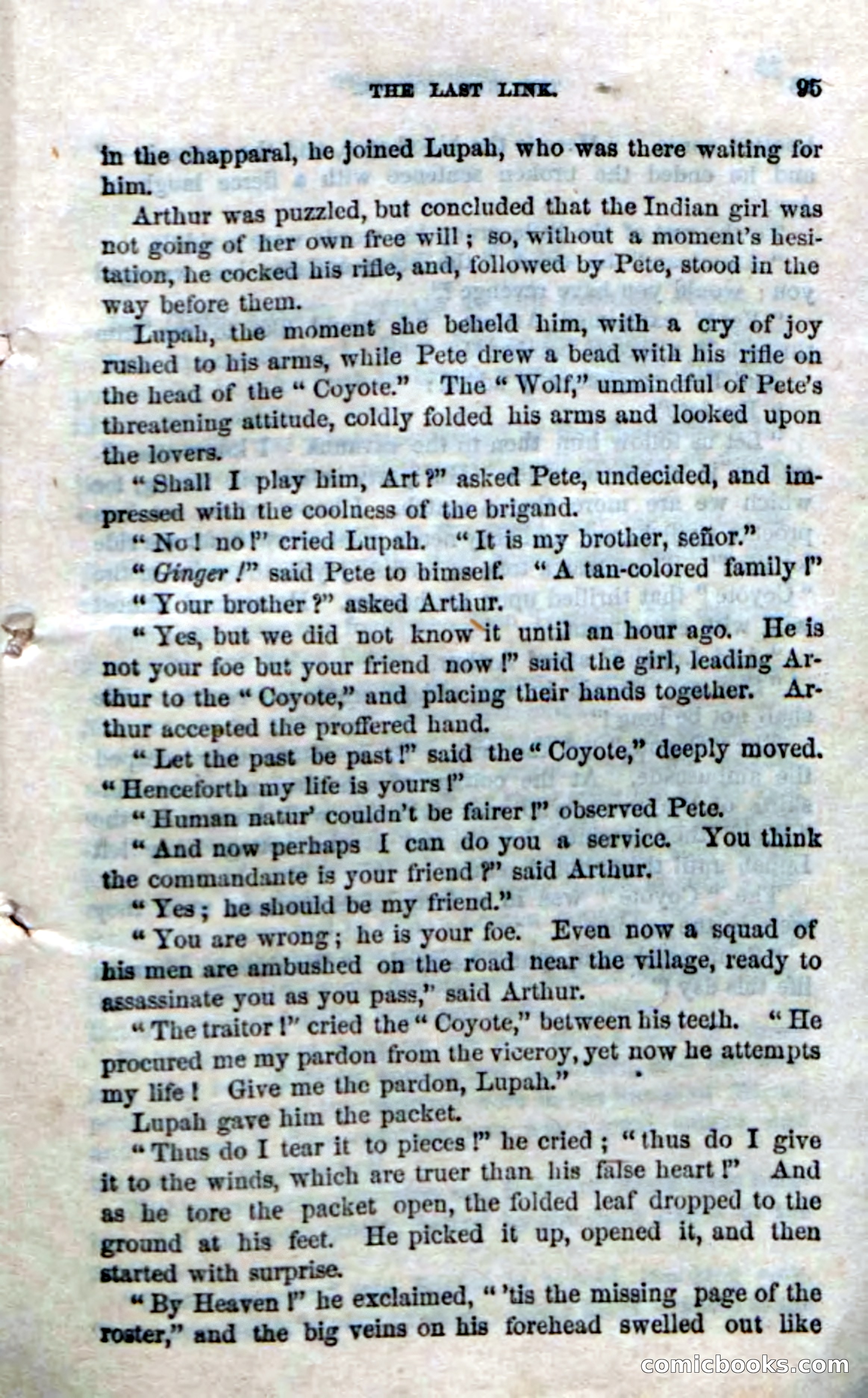 The Red Coyote; or, The Flower of the Prairie — page 93 of 100