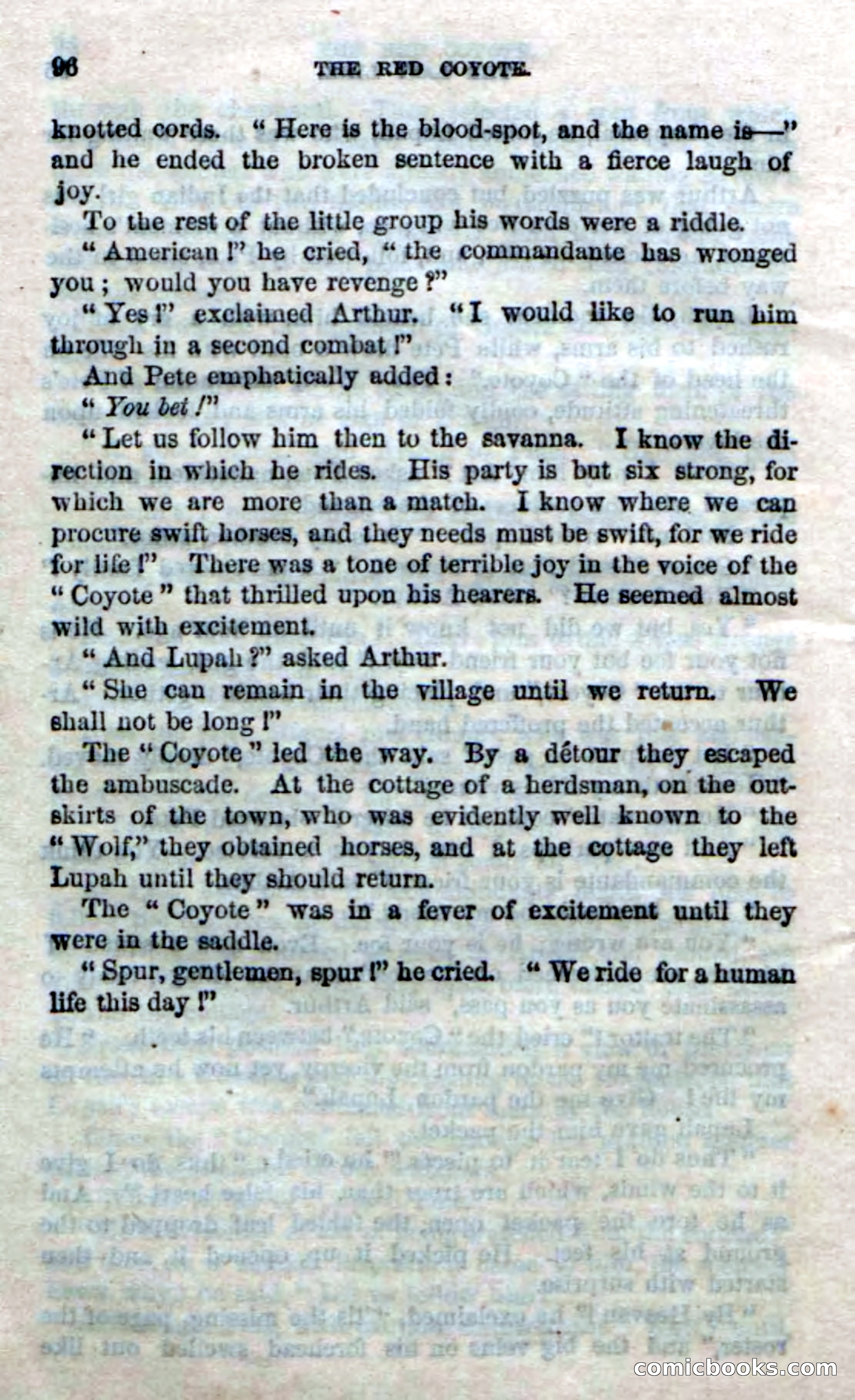 The Red Coyote; or, The Flower of the Prairie — page 94 of 100