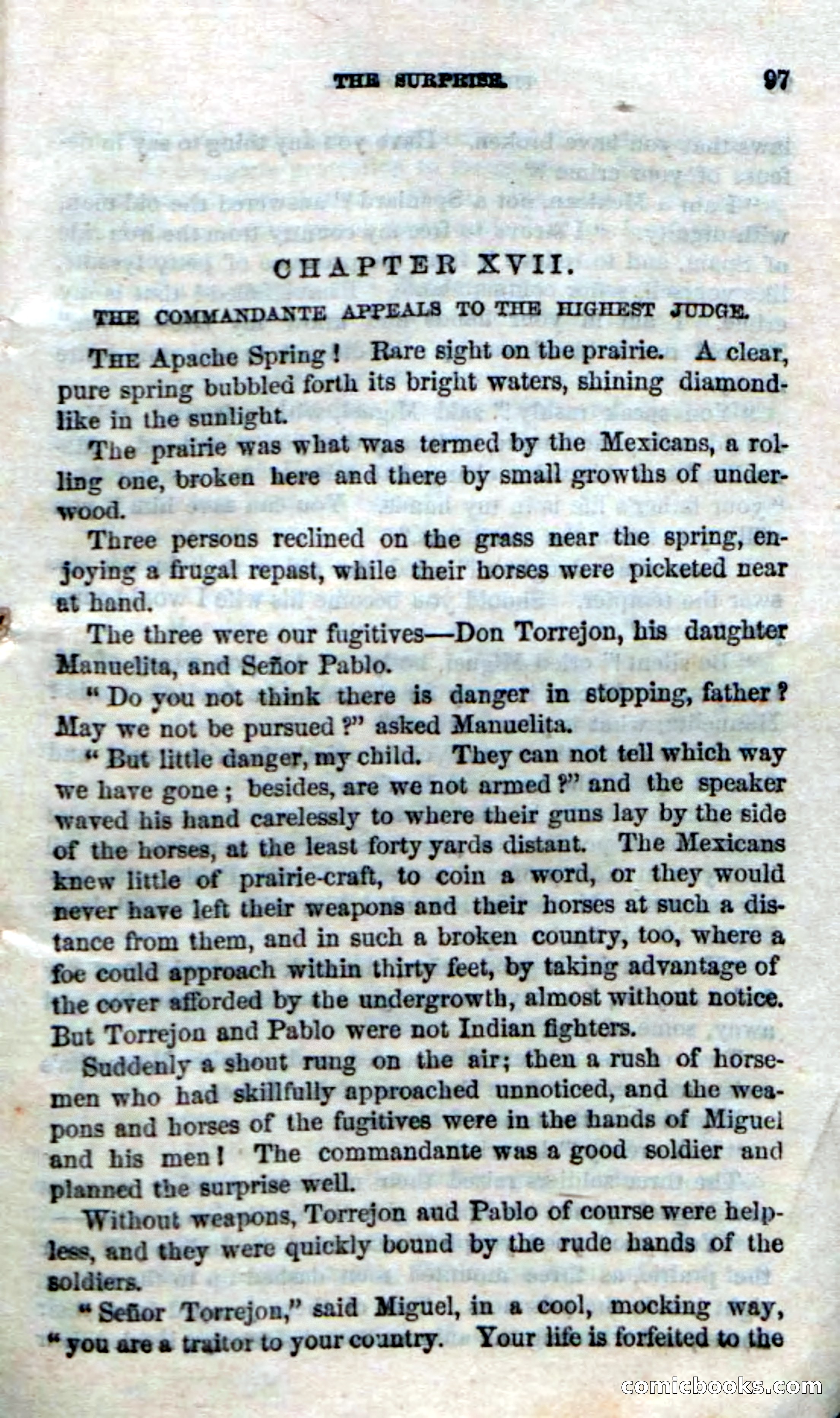 The Red Coyote; or, The Flower of the Prairie — page 95 of 100