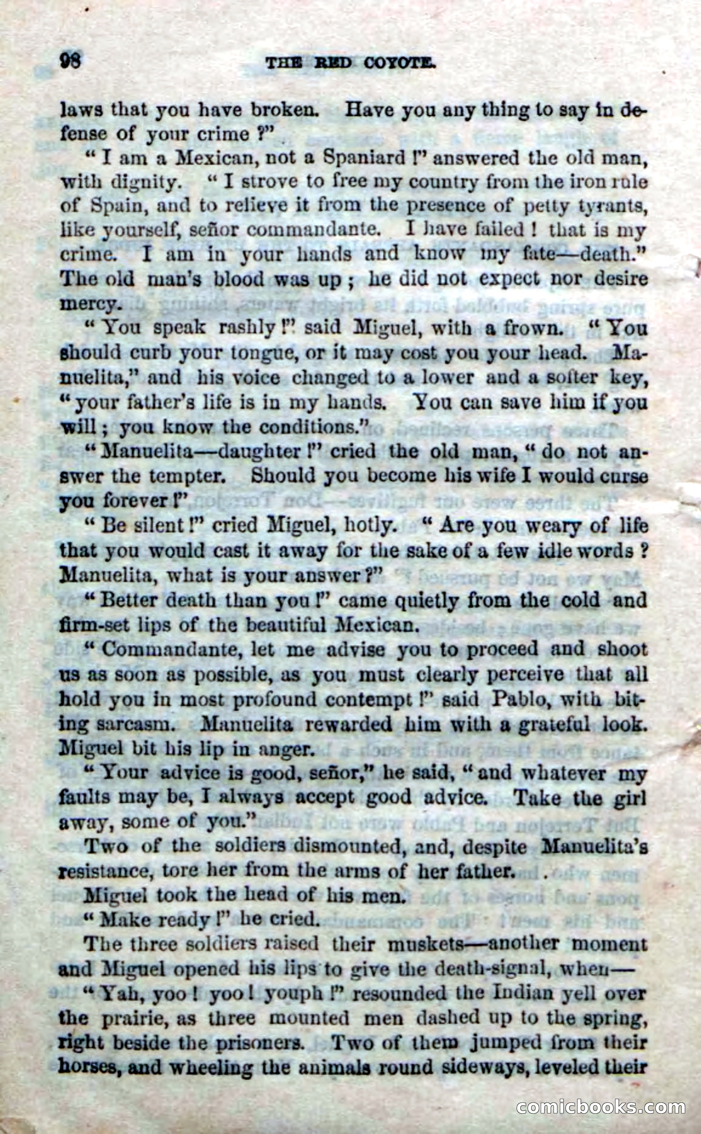 The Red Coyote; or, The Flower of the Prairie — page 96 of 100