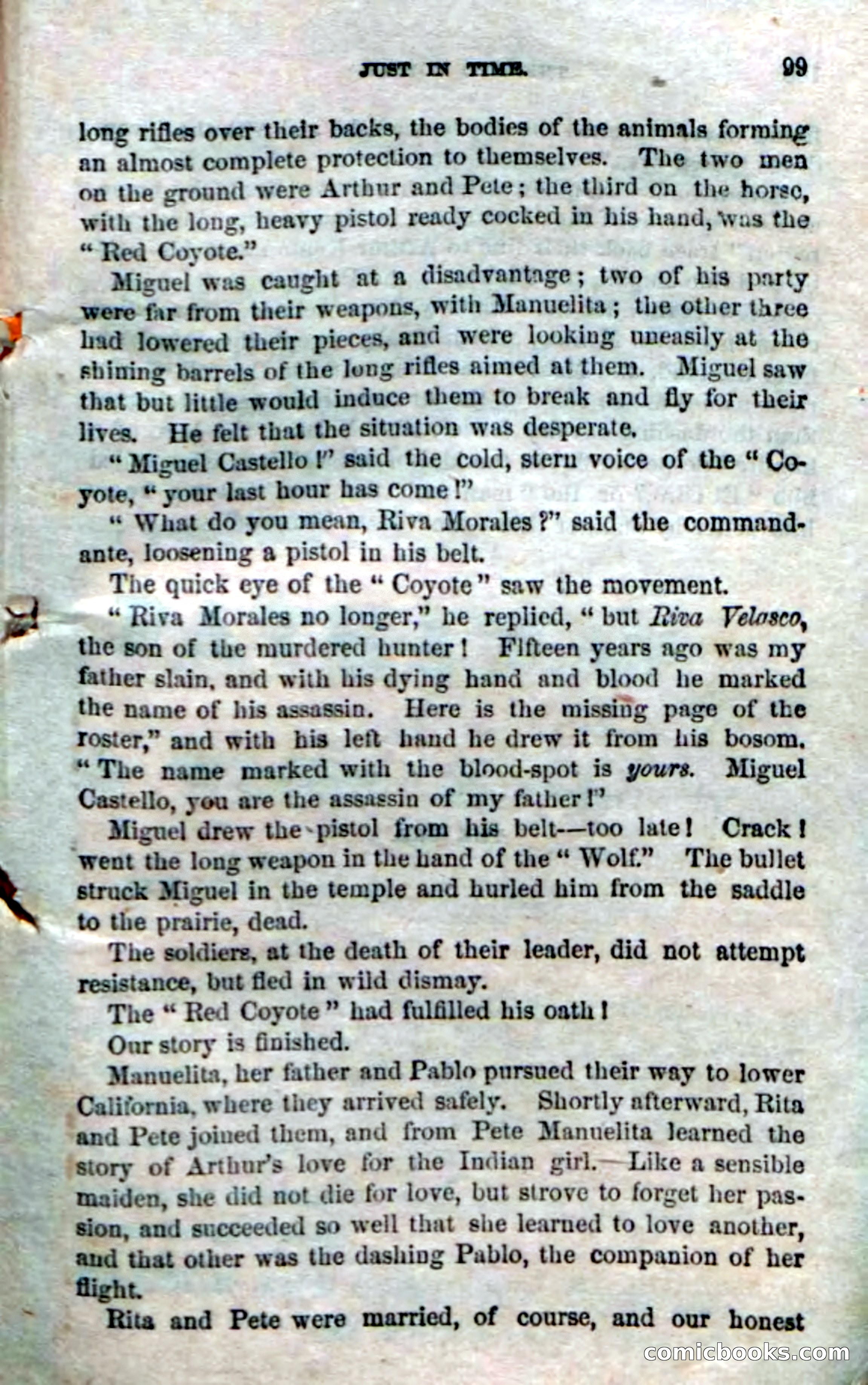 The Red Coyote; or, The Flower of the Prairie — page 97 of 100