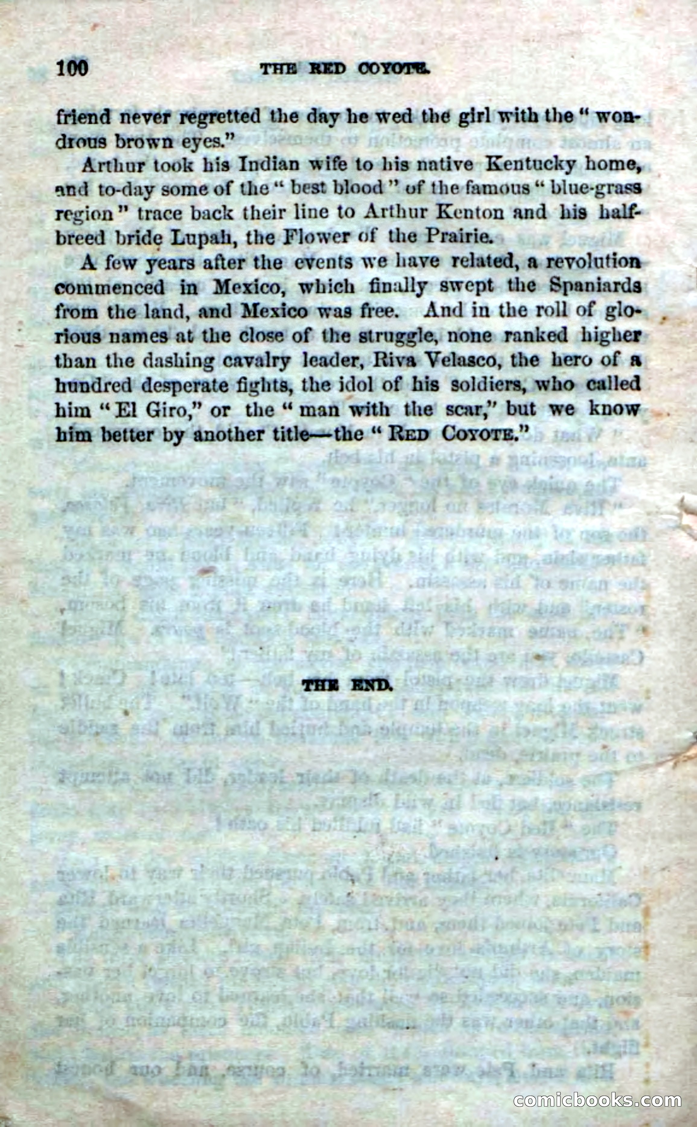 The Red Coyote; or, The Flower of the Prairie — page 98 of 100