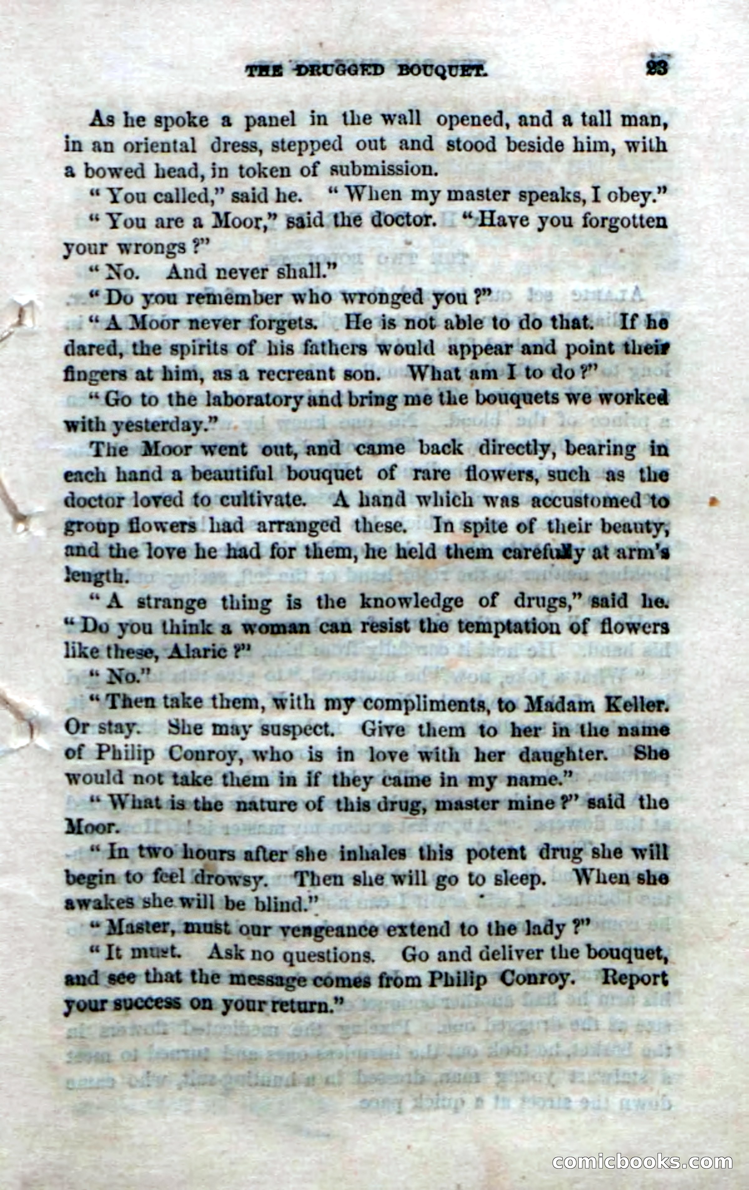 The Pale-Face Squaw — page 21 of 100