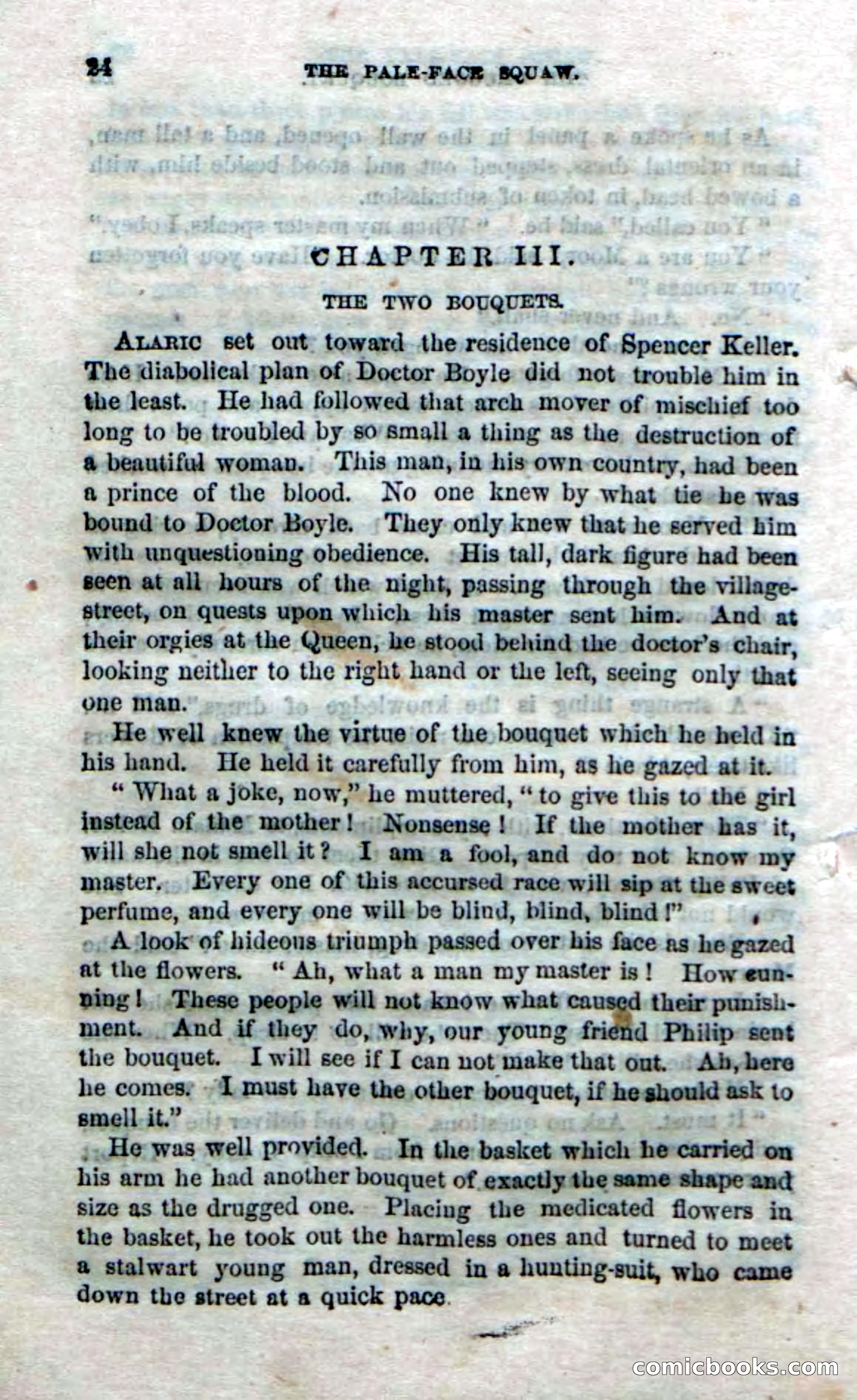 The Pale-Face Squaw — page 22 of 100