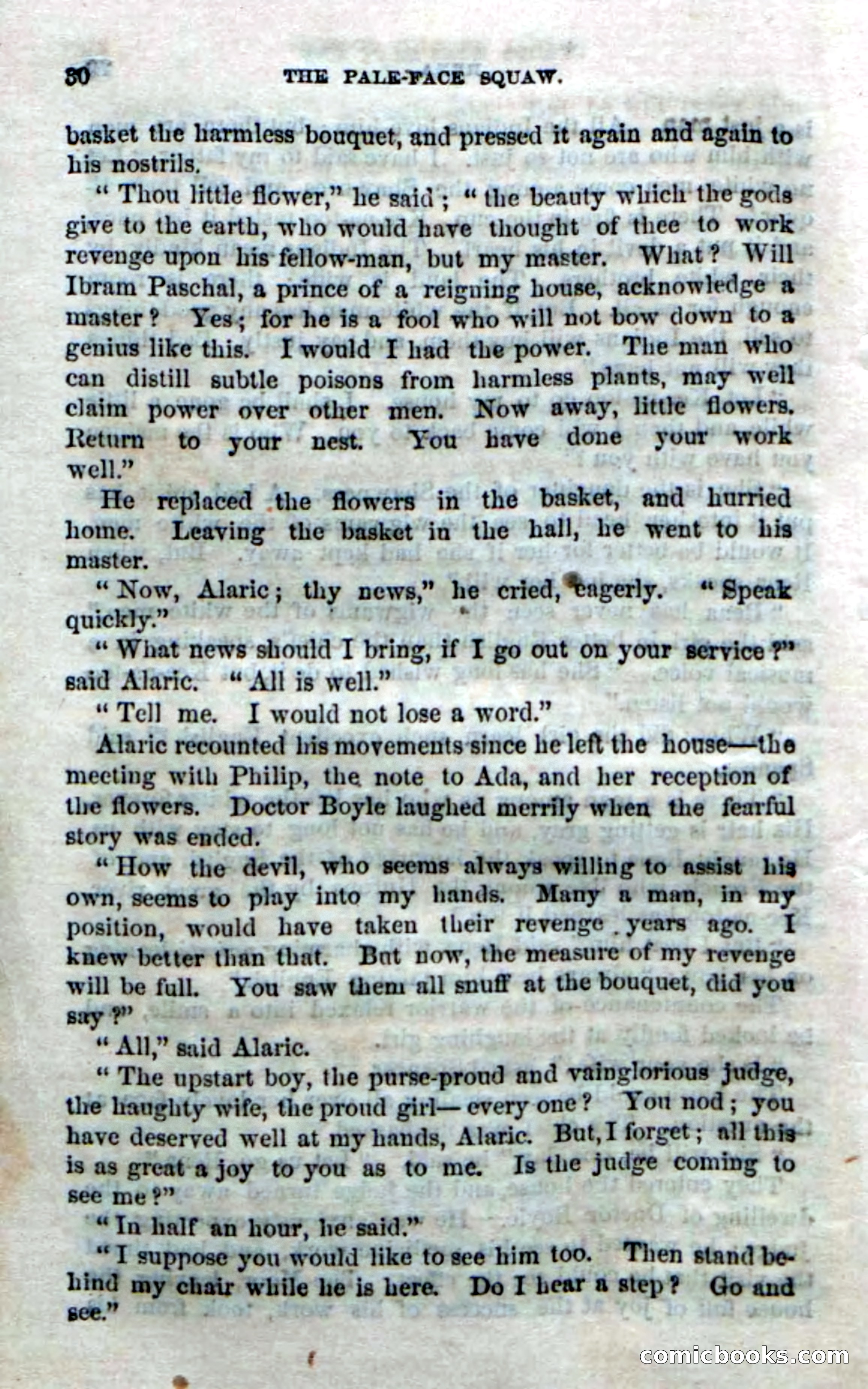 The Pale-Face Squaw — page 28 of 100
