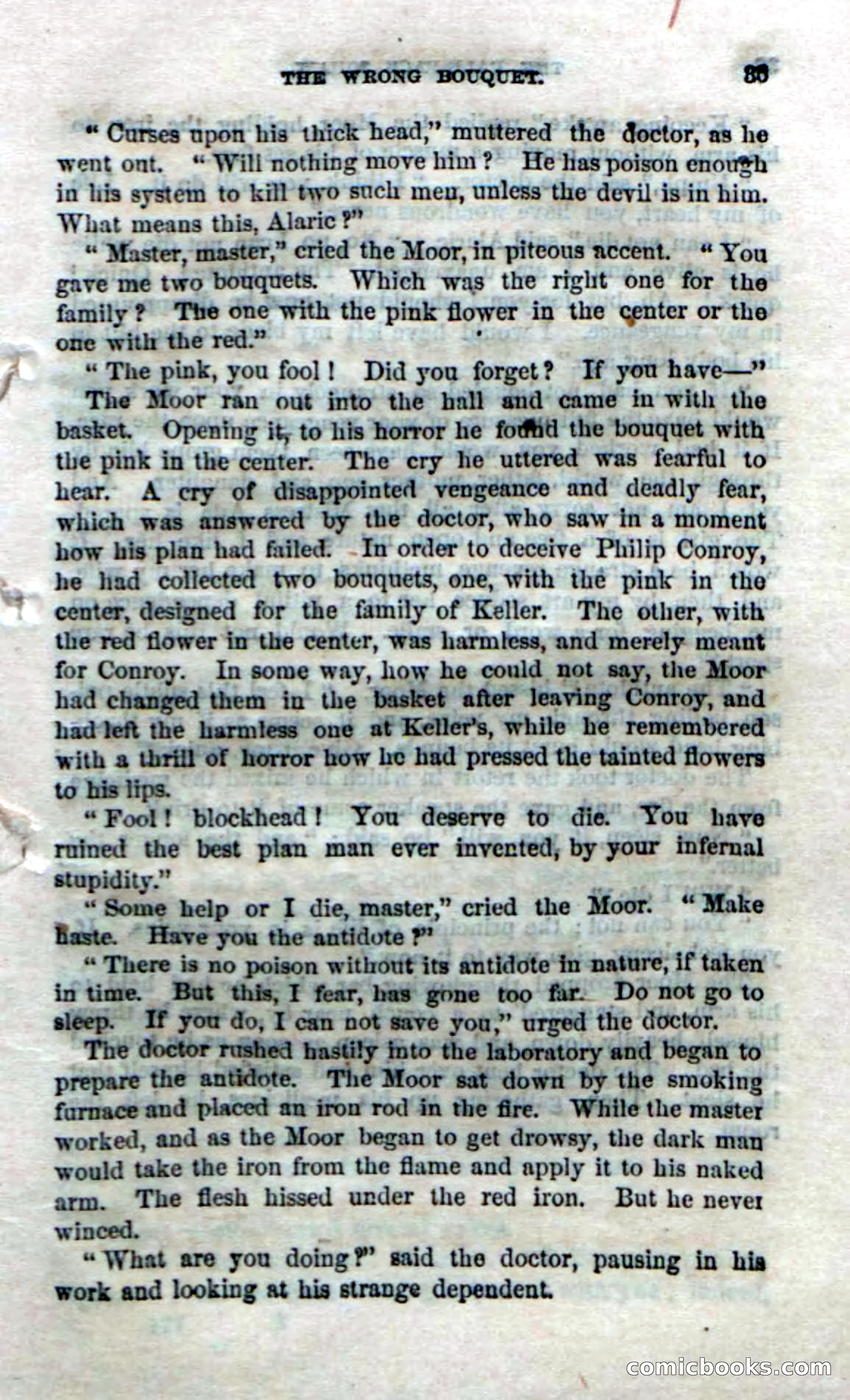 The Pale-Face Squaw — page 33 of 100