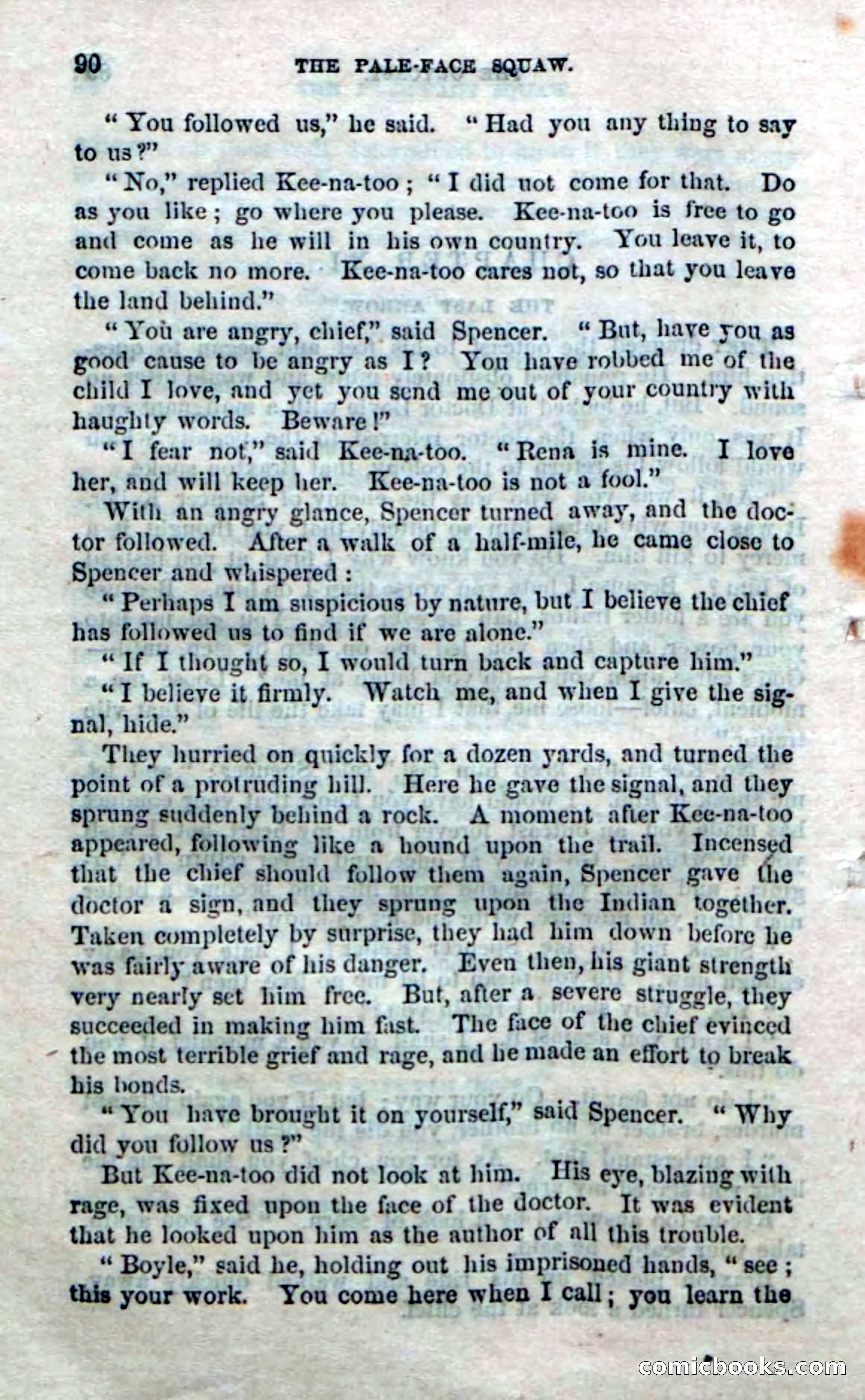 The Pale-Face Squaw — page 88 of 100