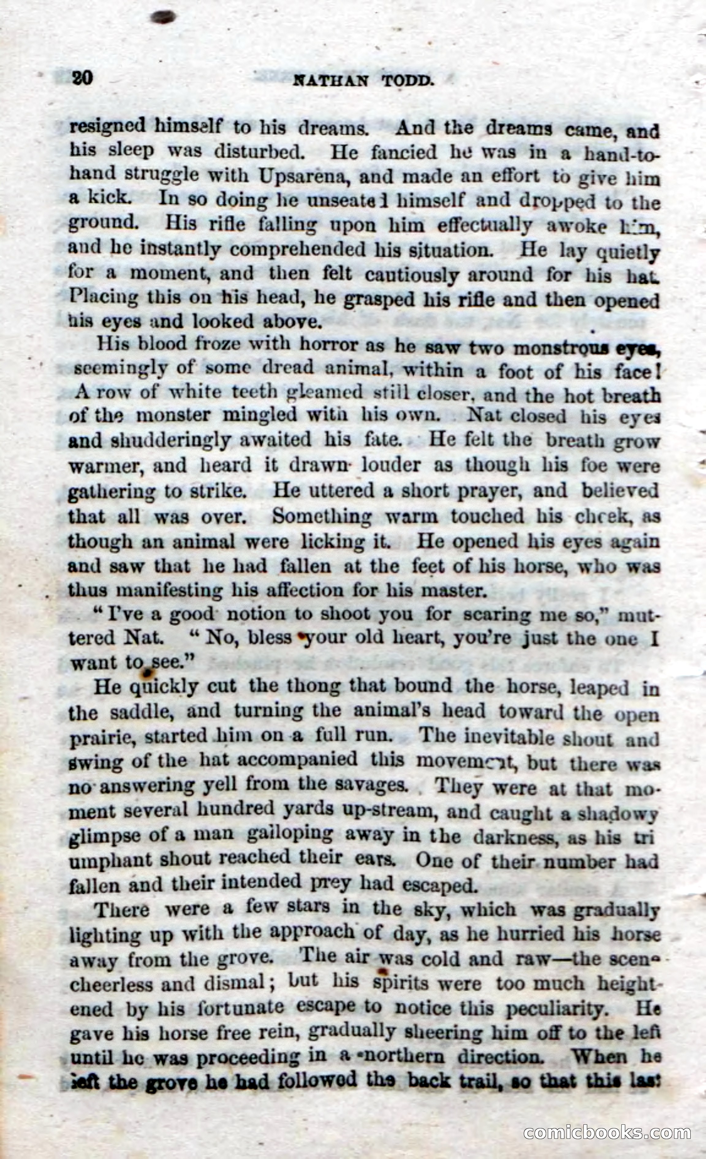 Beadle's Dime Novels No. 18 — page 22 of 136