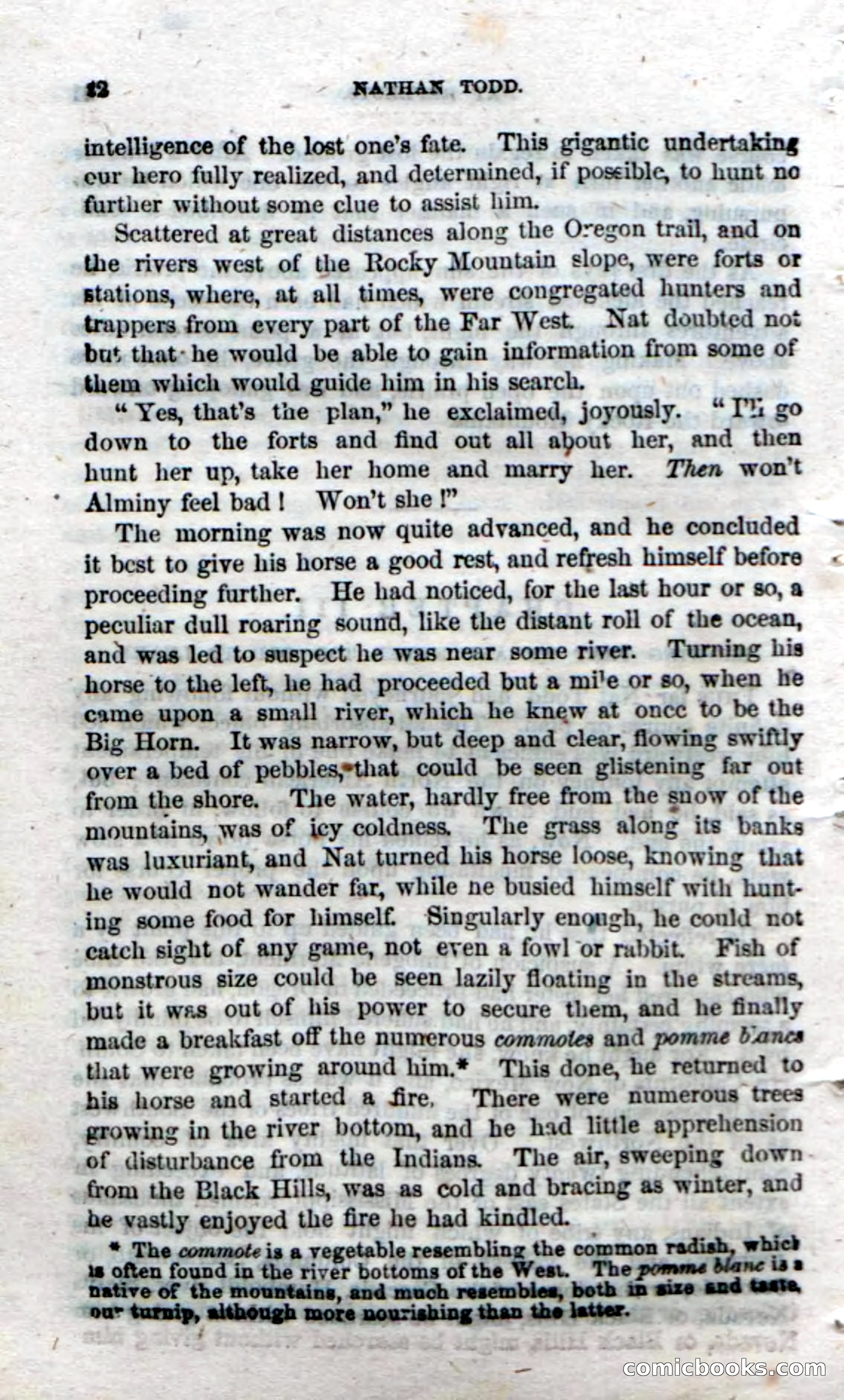 Beadle's Dime Novels No. 18 — page 24 of 136