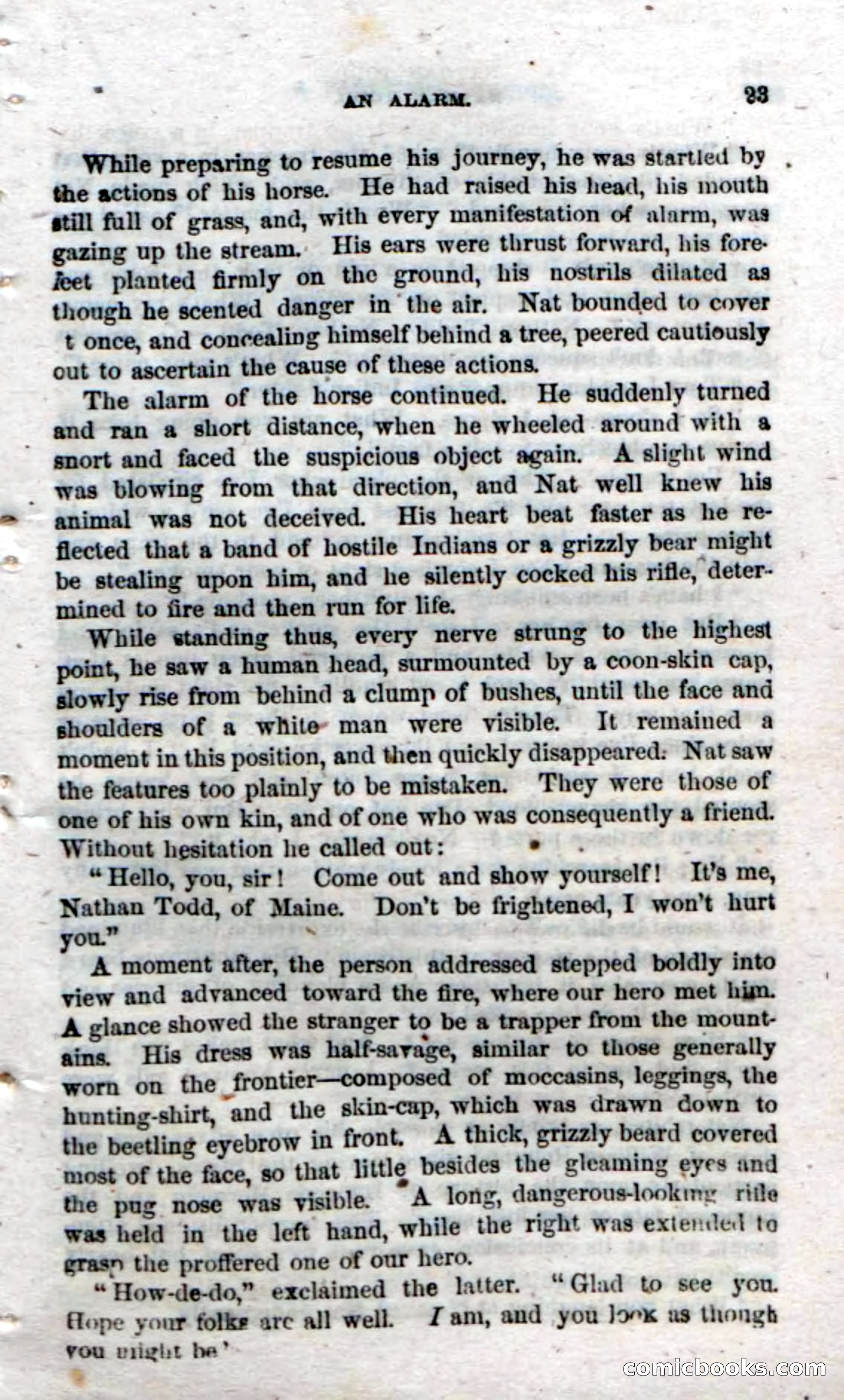 Beadle's Dime Novels No. 18 — page 25 of 136