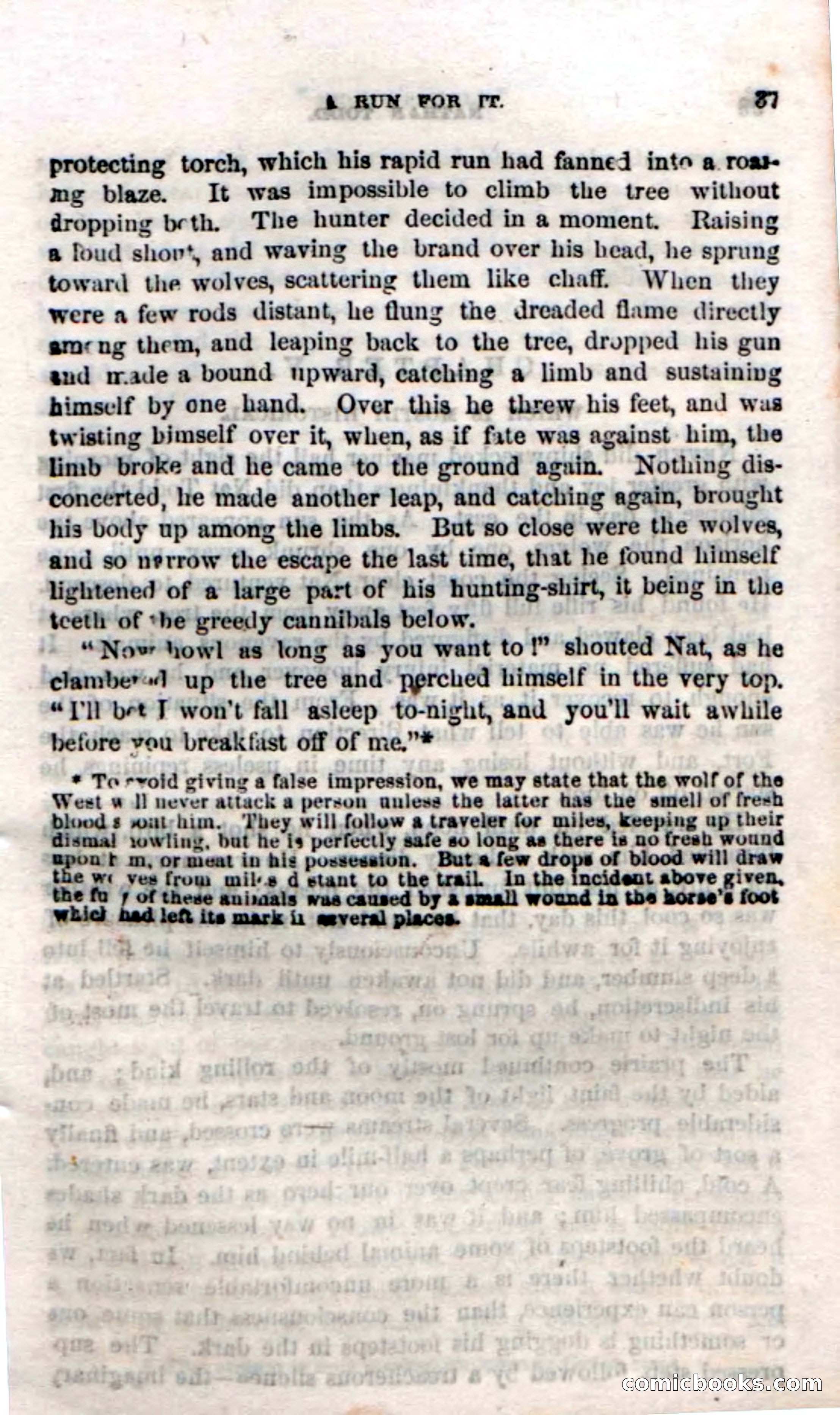 Beadle's Dime Novels No. 18 — page 39 of 136