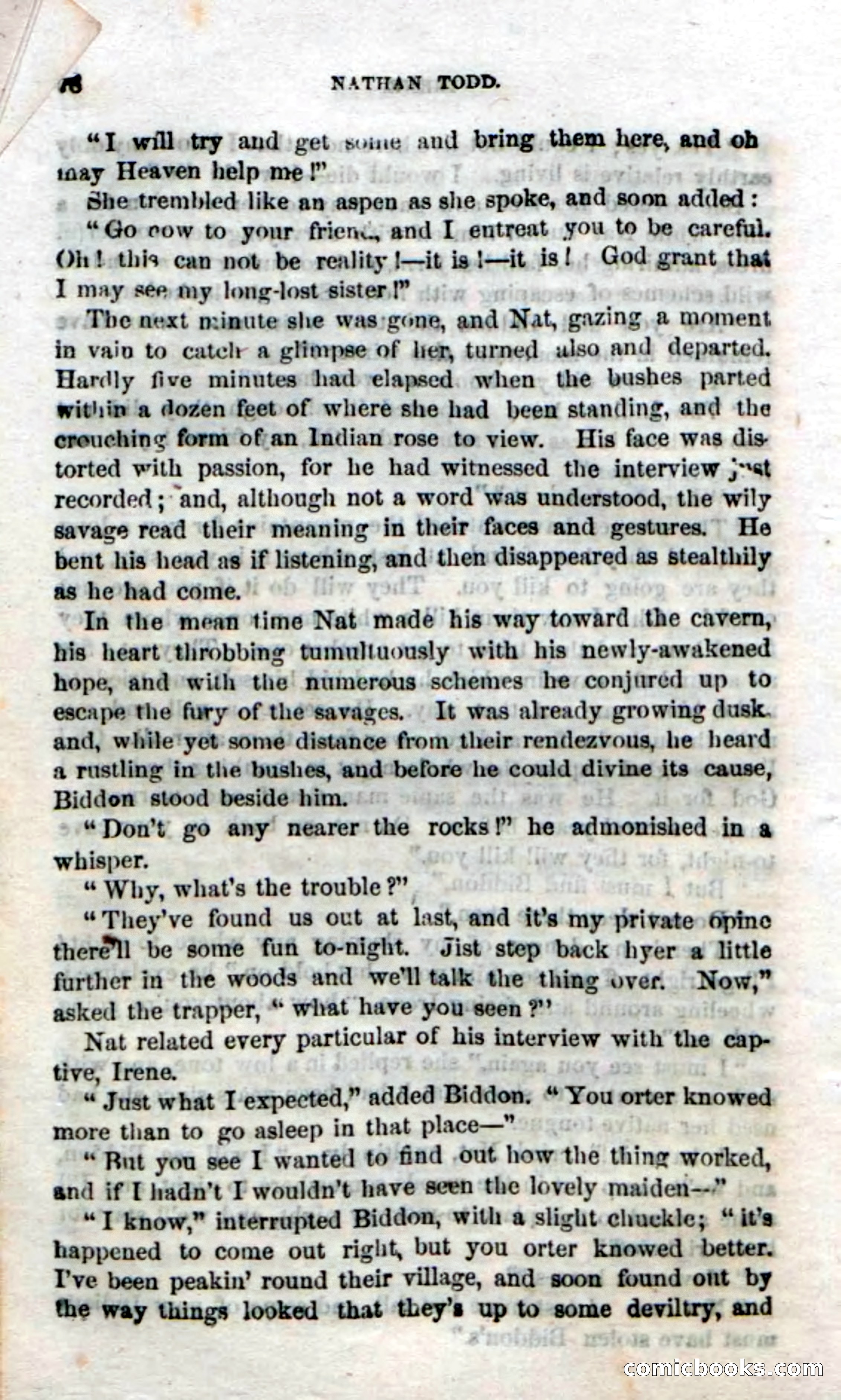 Beadle's Dime Novels No. 18 — page 80 of 136