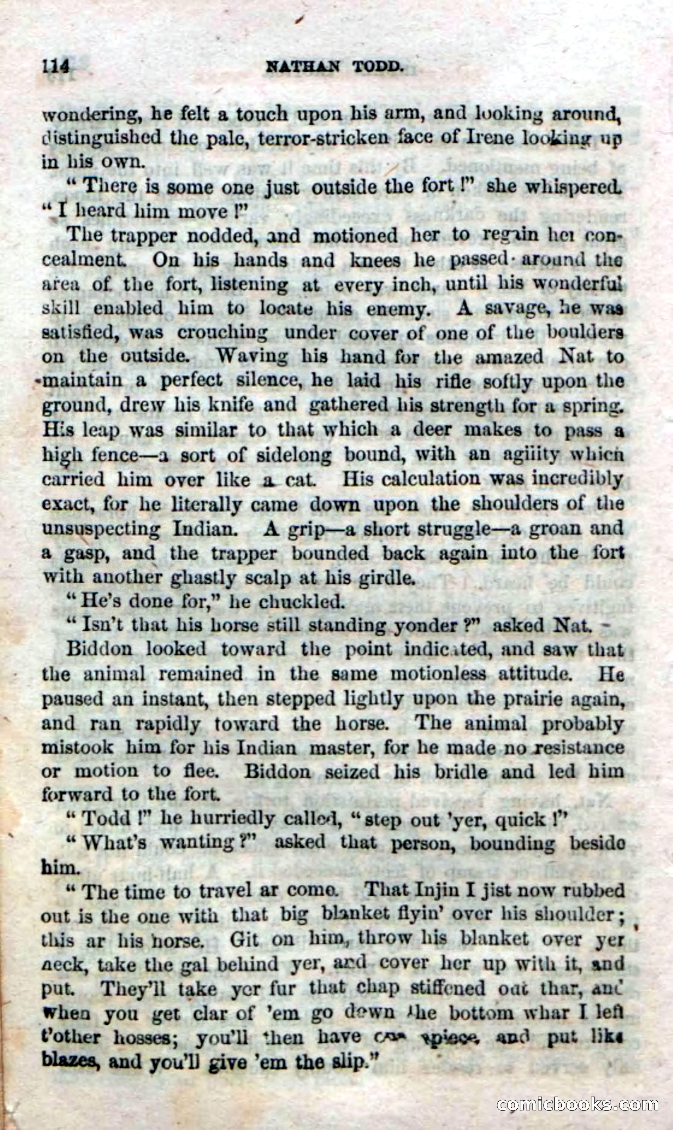 Beadle's Dime Novels No. 18 — page 116 of 136