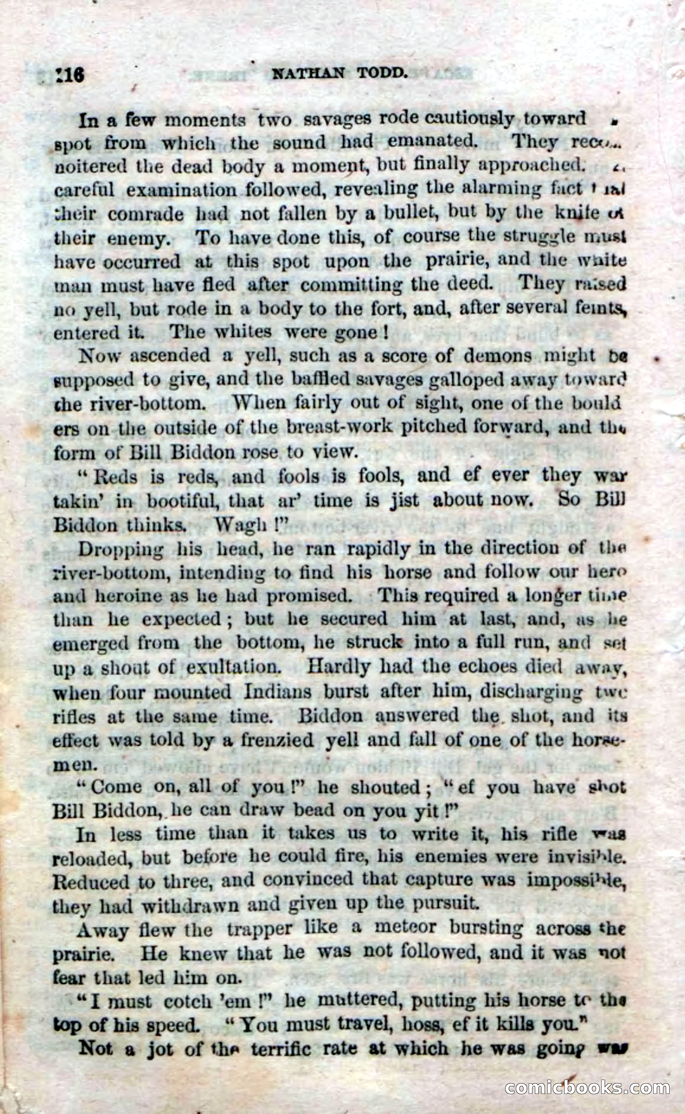 Beadle's Dime Novels No. 18 — page 118 of 136