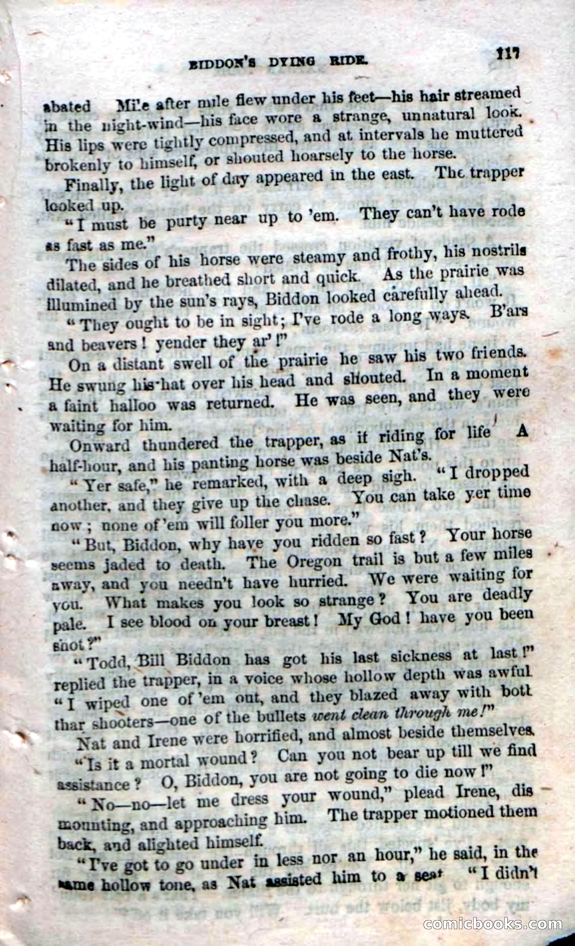 Beadle's Dime Novels No. 18 — page 119 of 136