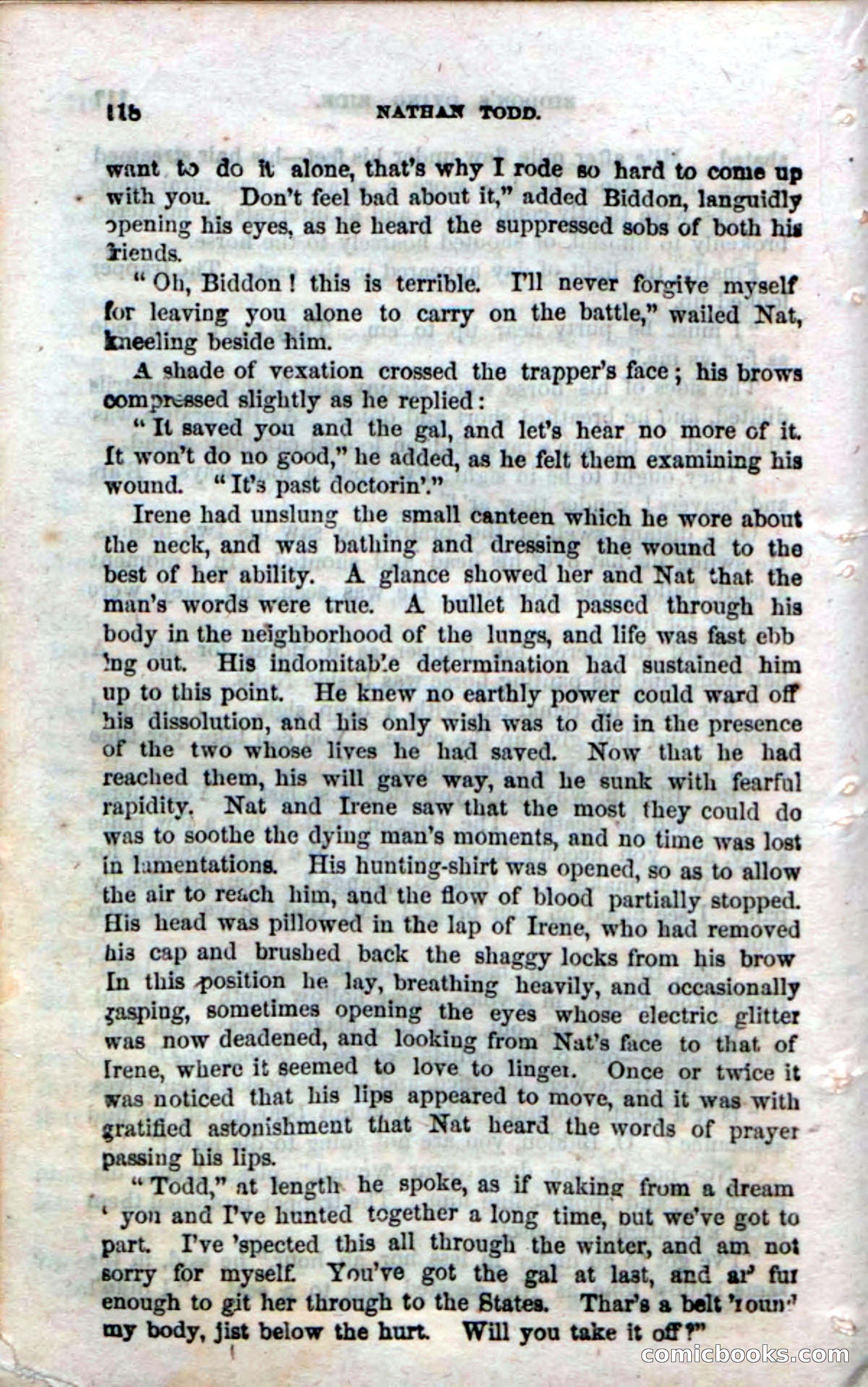 Beadle's Dime Novels No. 18 — page 120 of 136