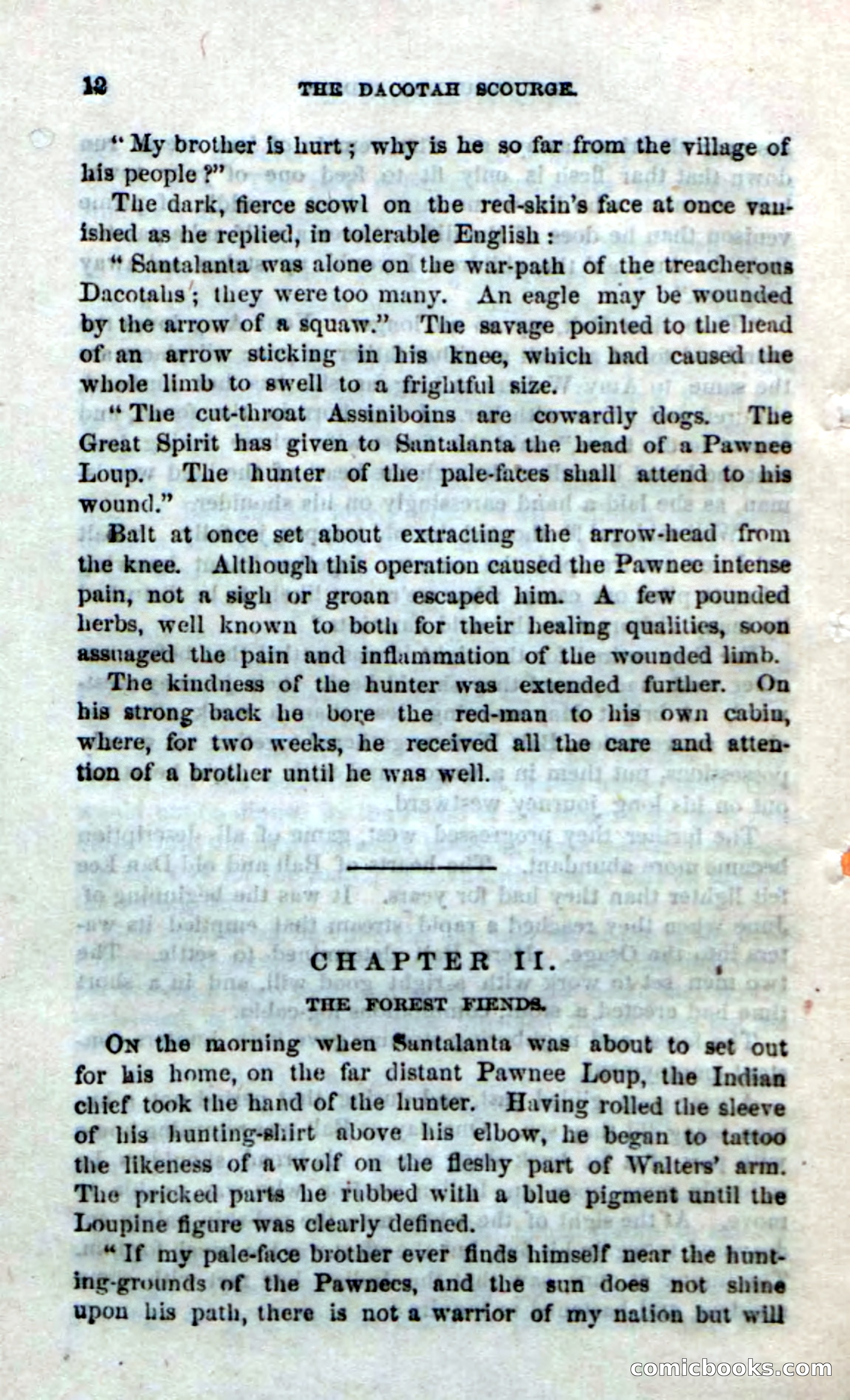 Beadle's Dime Novels No. 185: The Dacotah Scourge — page 10 of 100