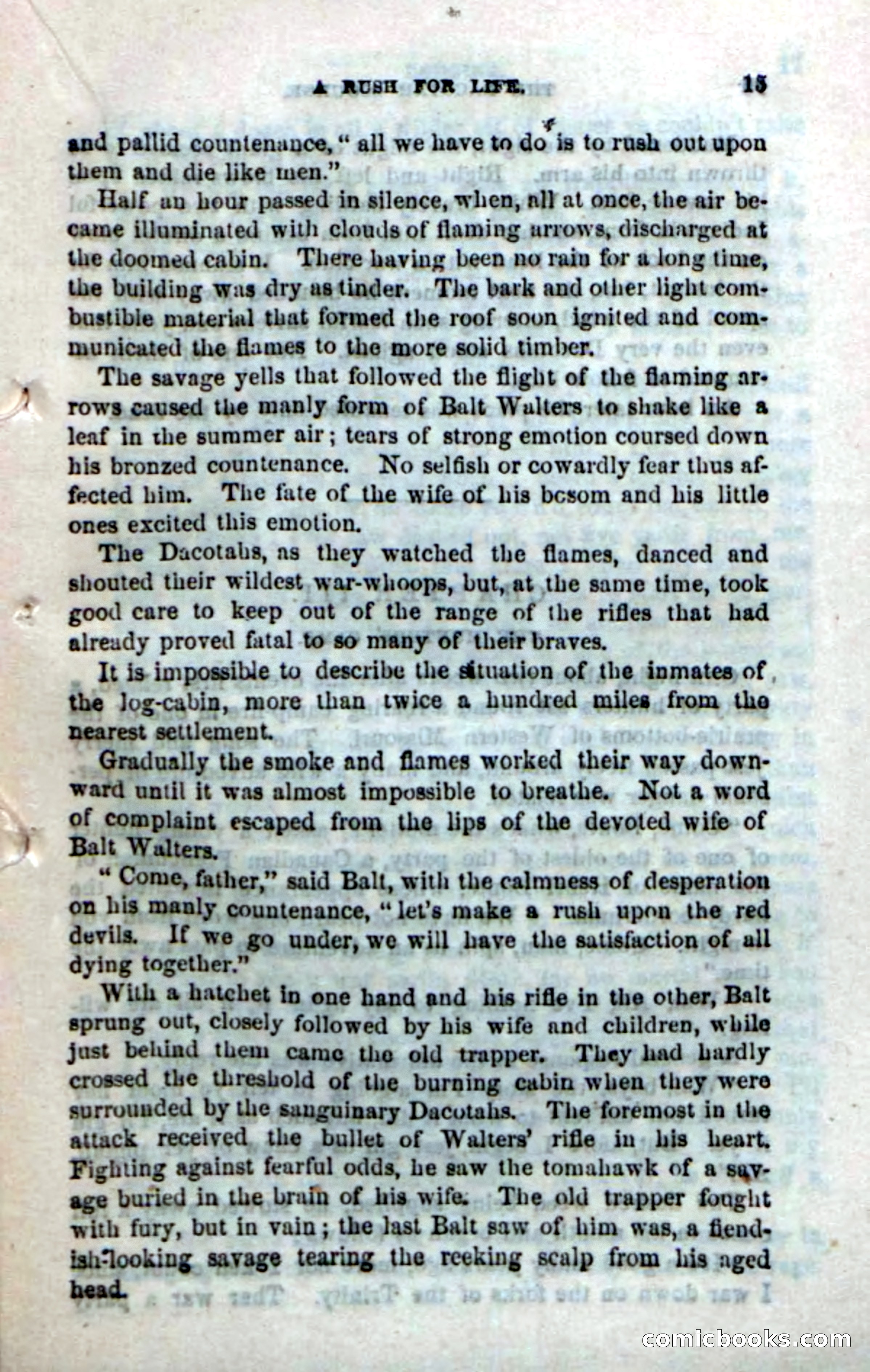 Beadle's Dime Novels No. 185: The Dacotah Scourge — page 13 of 100