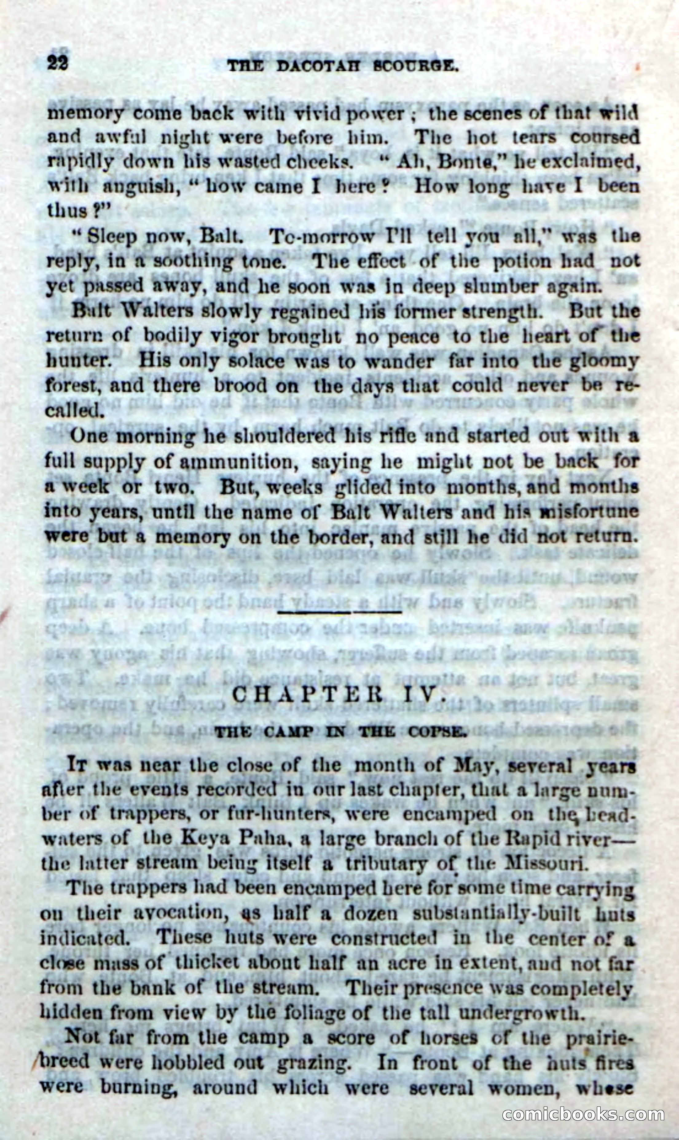 Beadle's Dime Novels No. 185: The Dacotah Scourge — page 20 of 100