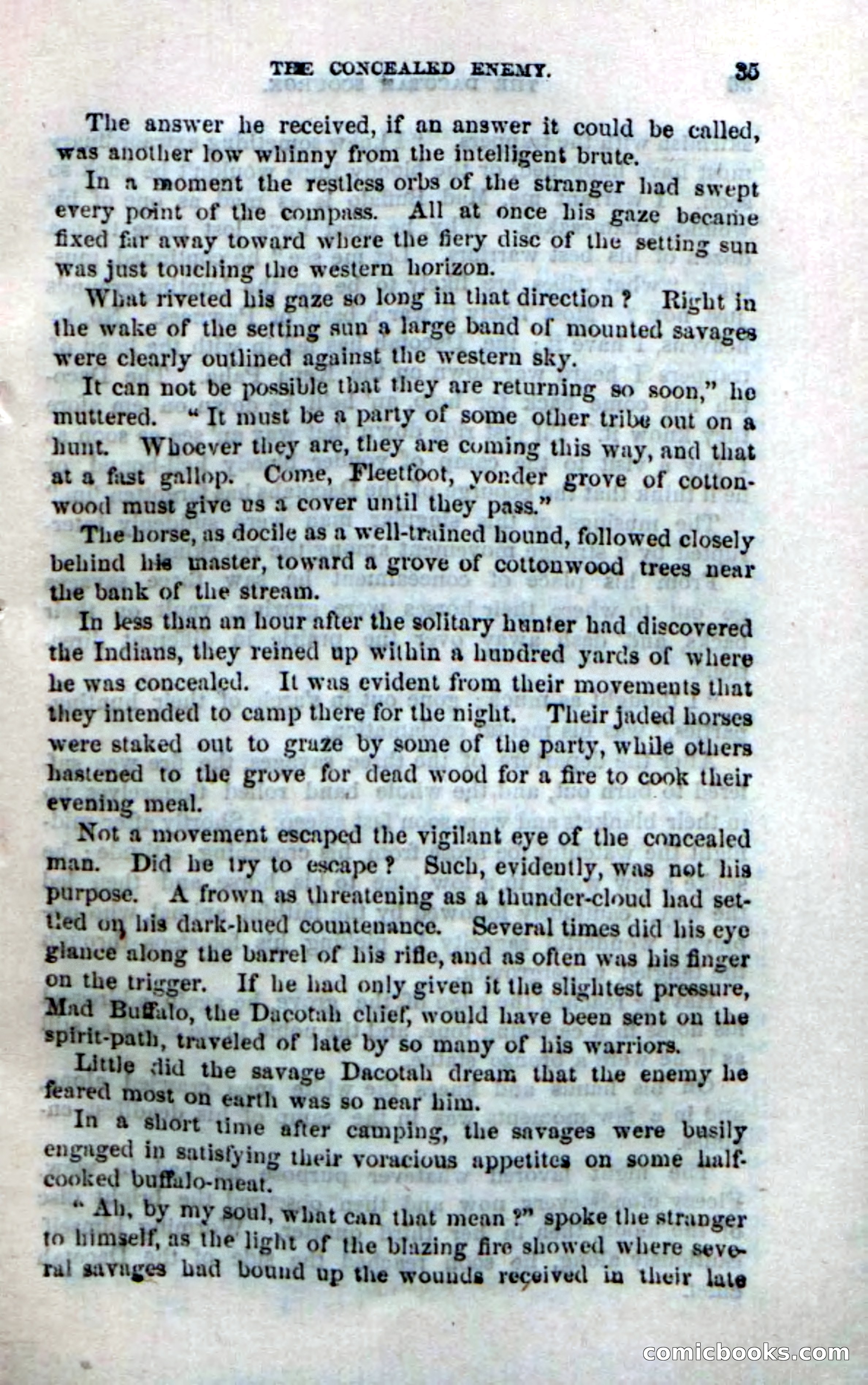 Beadle's Dime Novels No. 185: The Dacotah Scourge — page 33 of 100