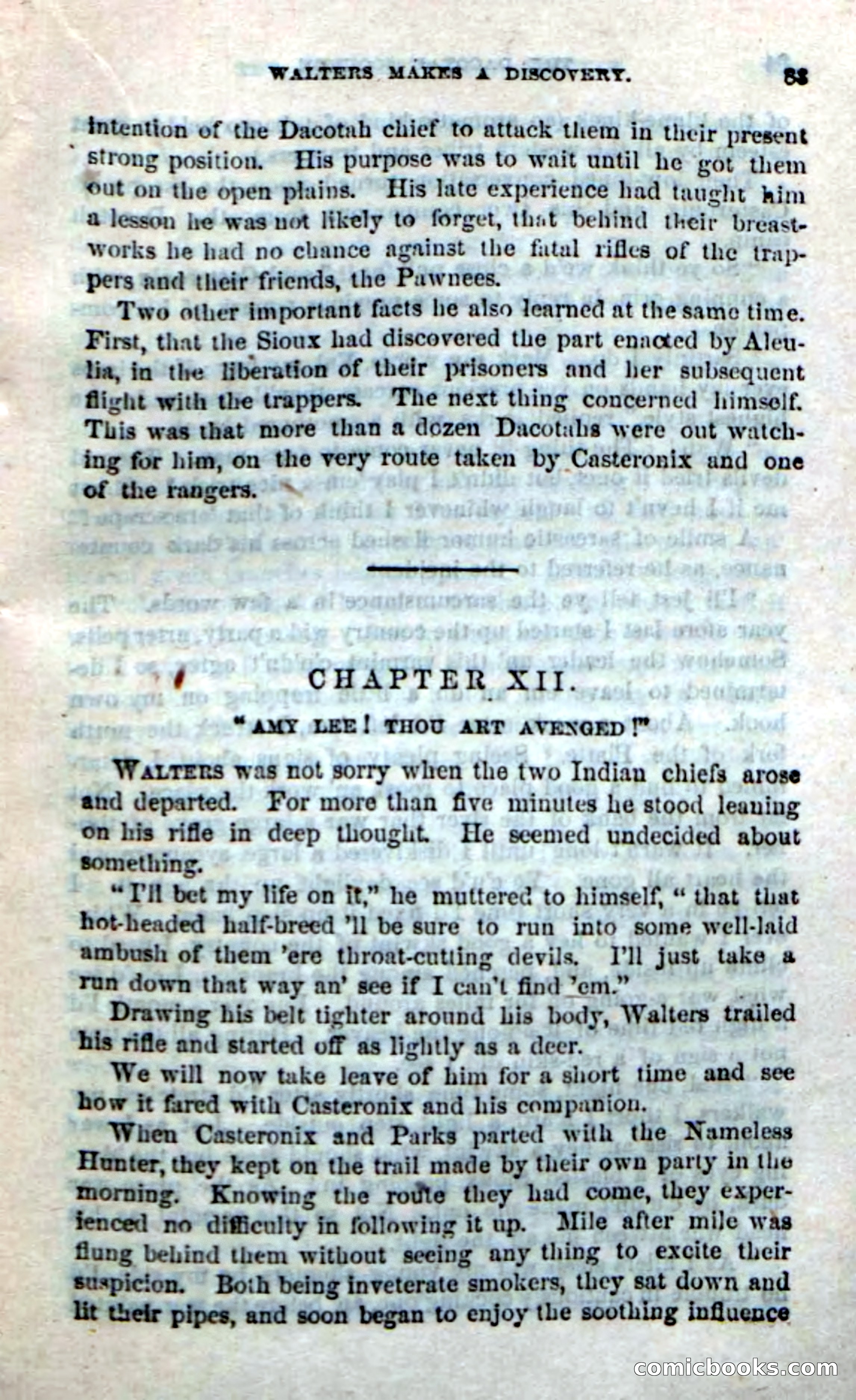 Beadle's Dime Novels No. 185: The Dacotah Scourge — page 81 of 100